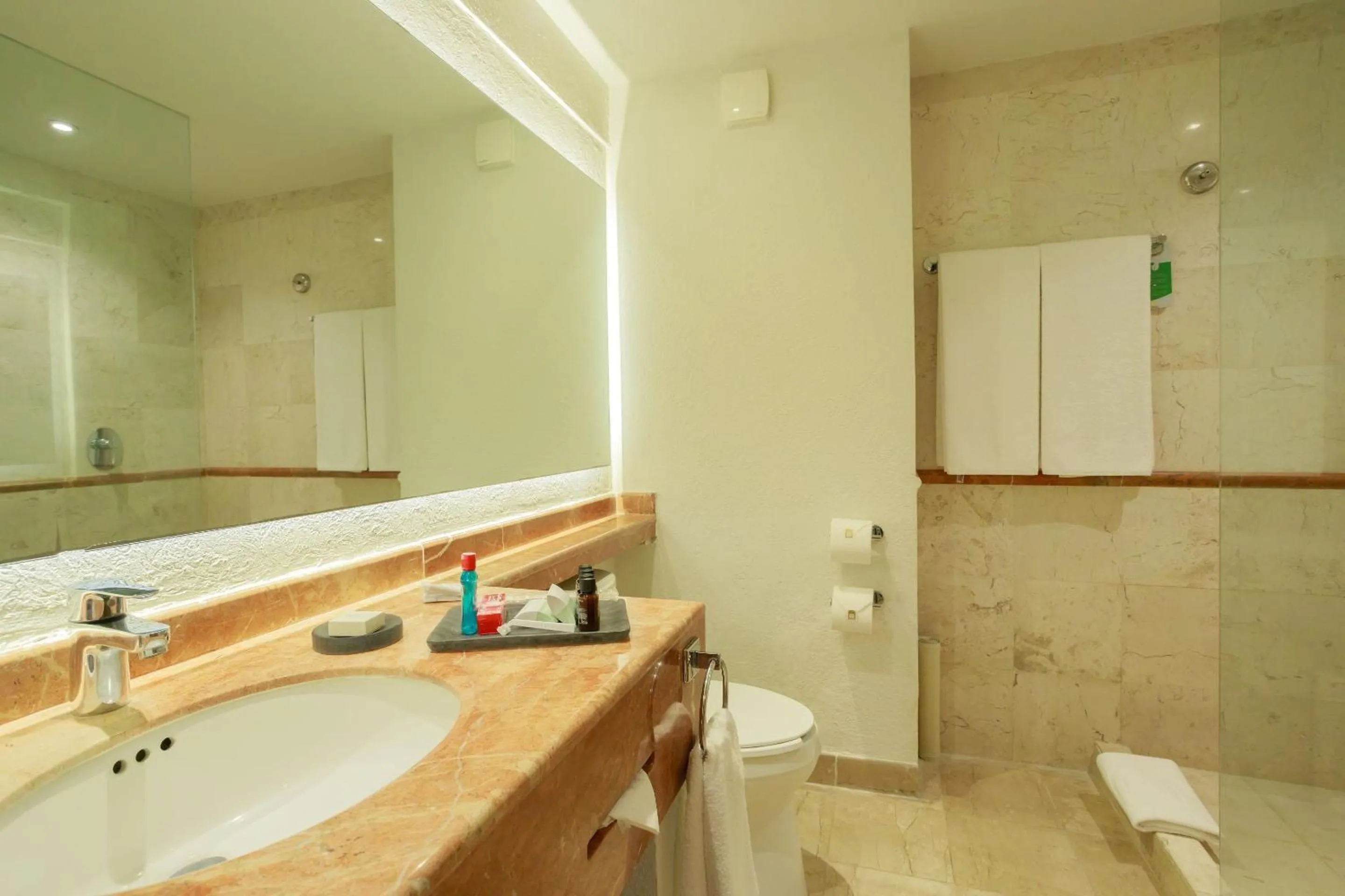 Bathroom in Camino Real Veracruz