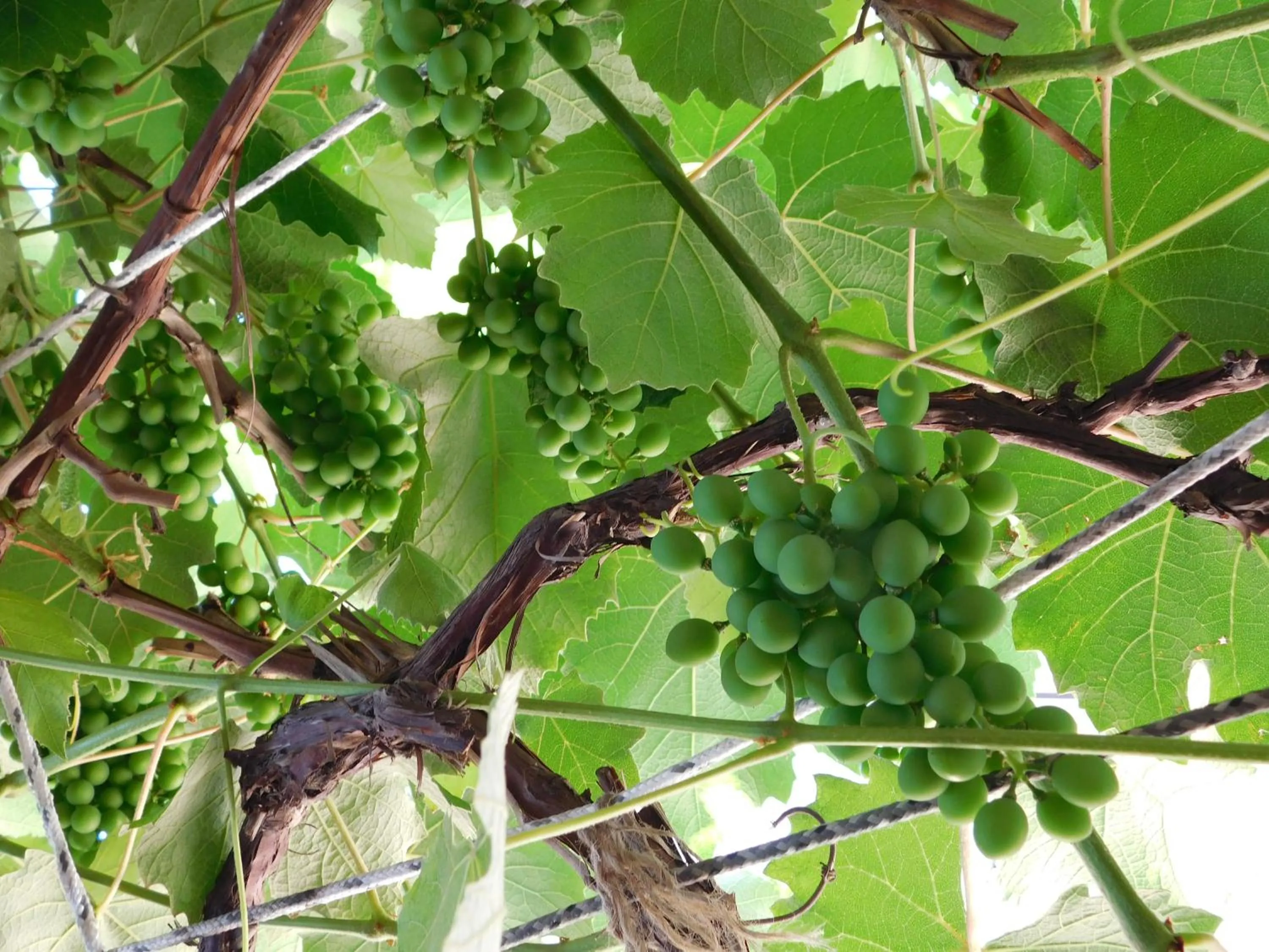 Rainbow Bed & Breakfast