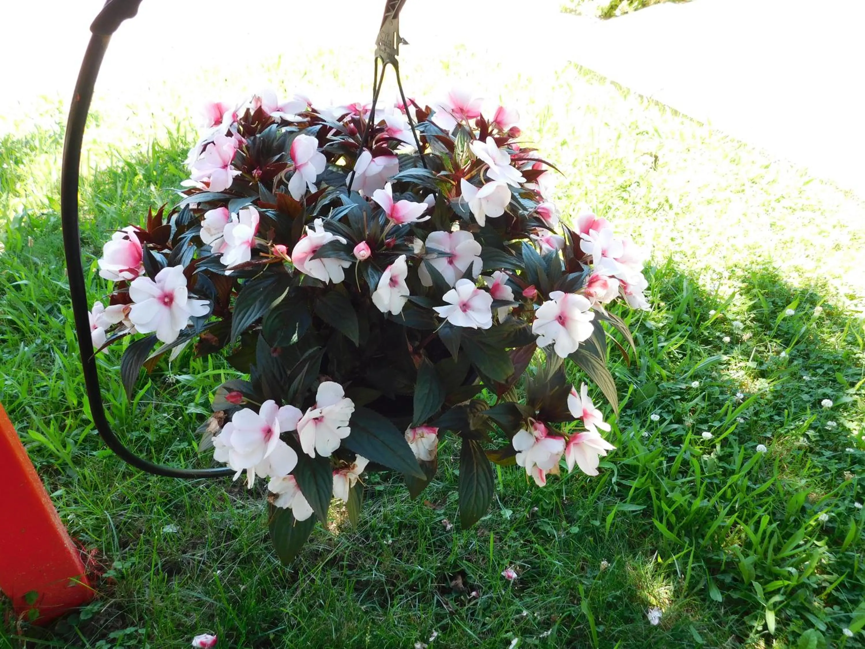 Rainbow Bed & Breakfast