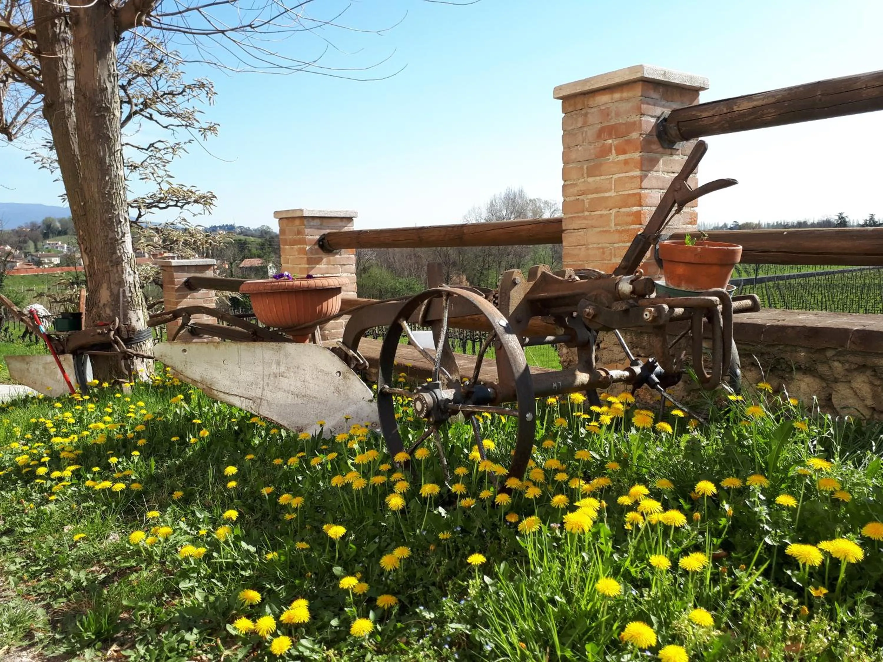 Property building in Terre Boscaratto