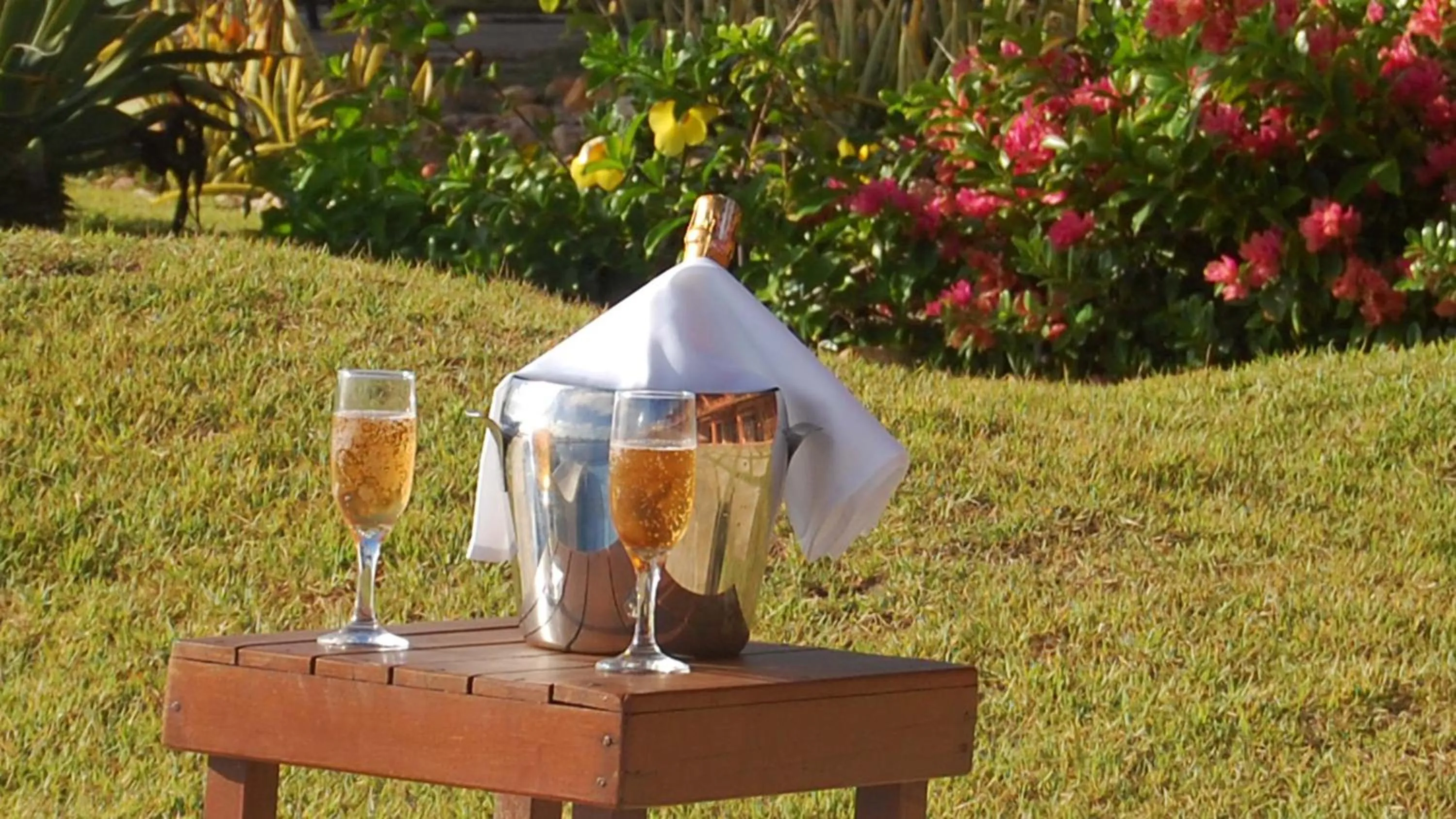 Garden in Bruno Marambaia Charme Hotel