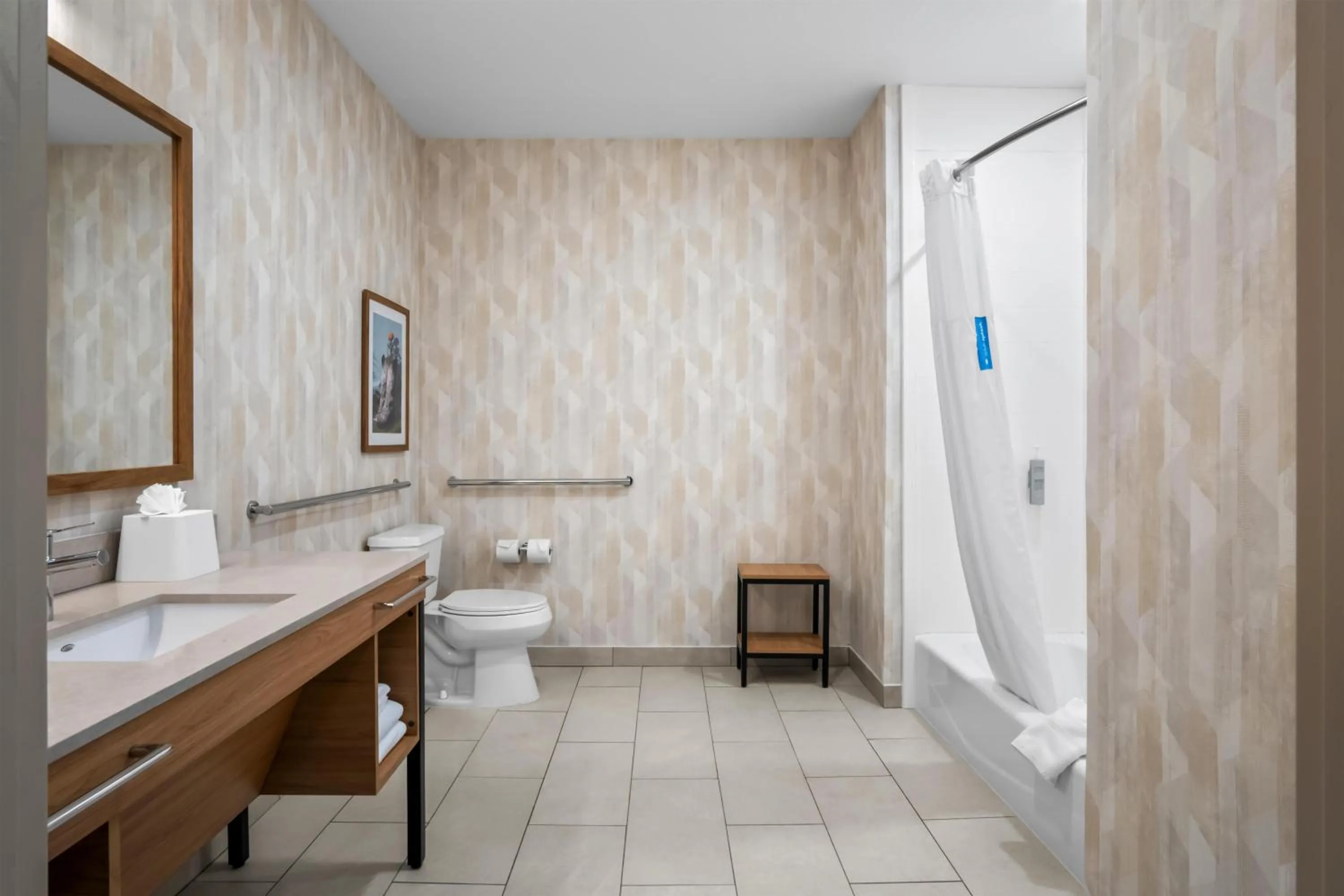 Bathroom in Hampton Inn and Suites Waxahachie