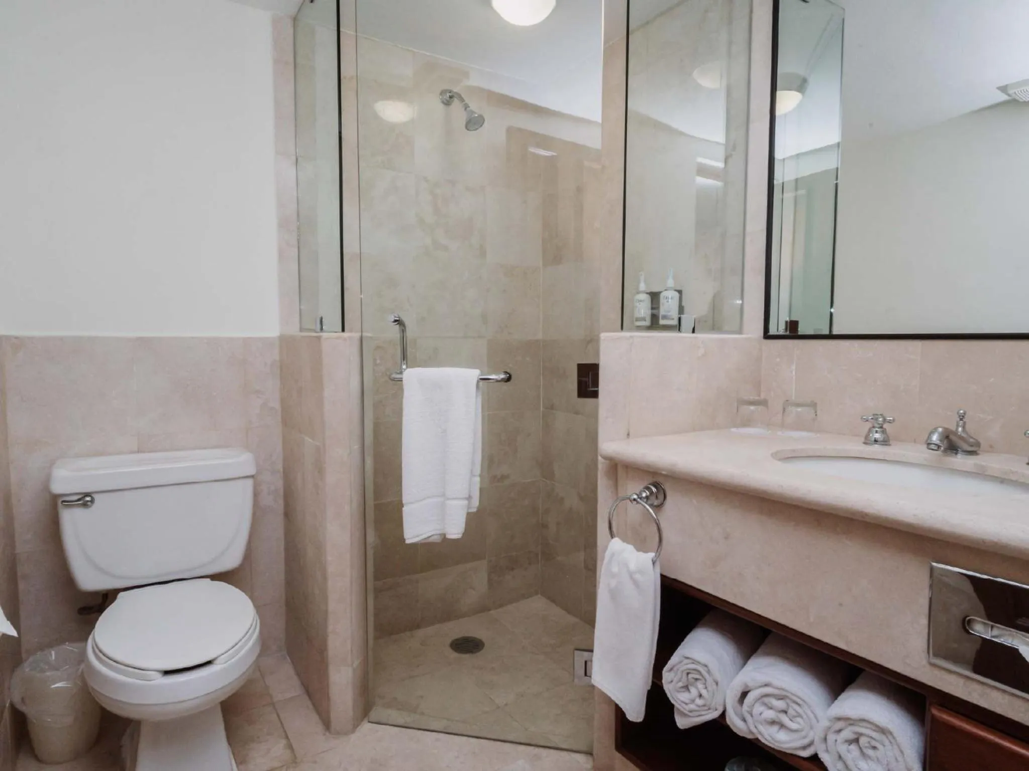 Shower in HS HOTSSON Hotel Tampico