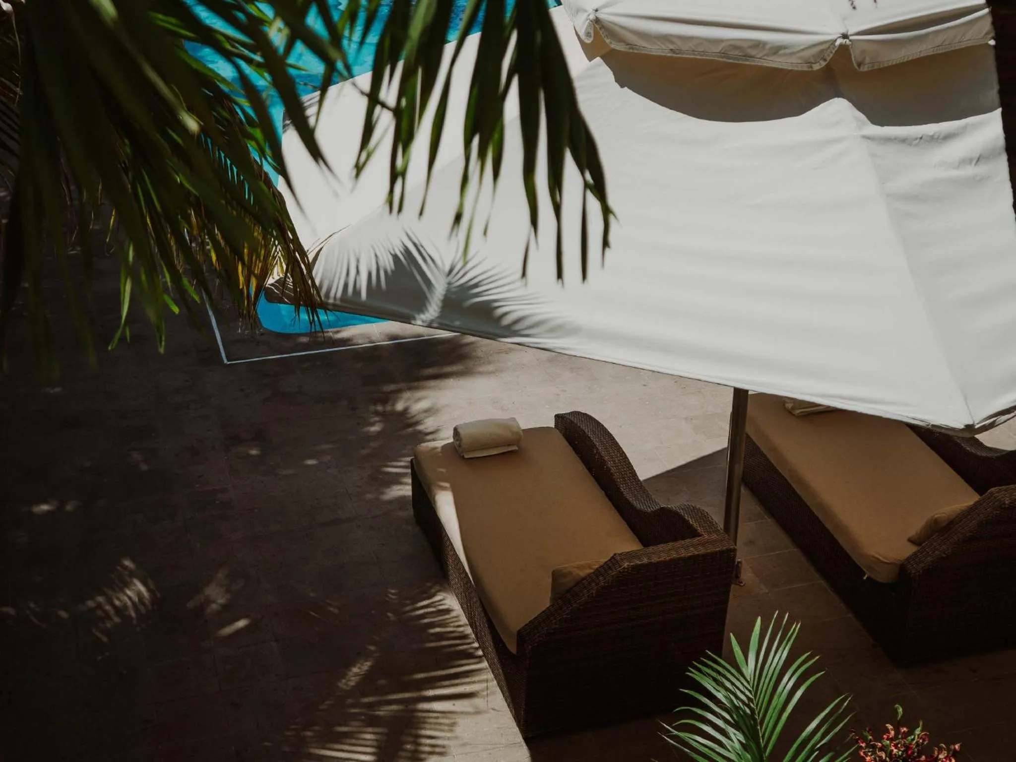 Day in HS HOTSSON Hotel Tampico