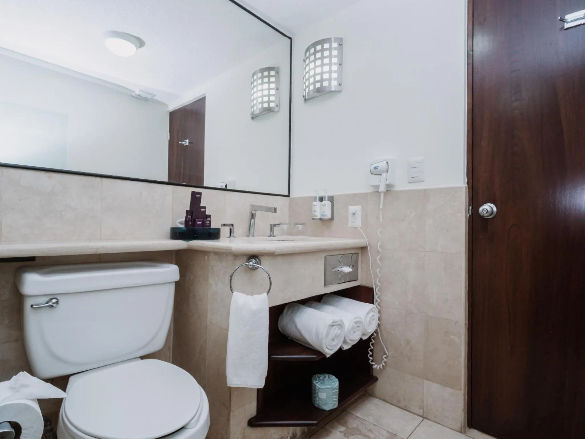 Shower in HS HOTSSON Hotel Tampico