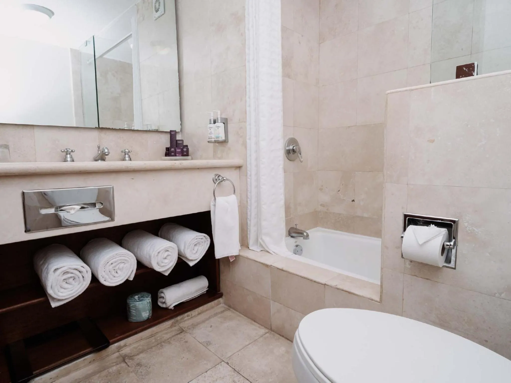 Shower in HS HOTSSON Hotel Tampico