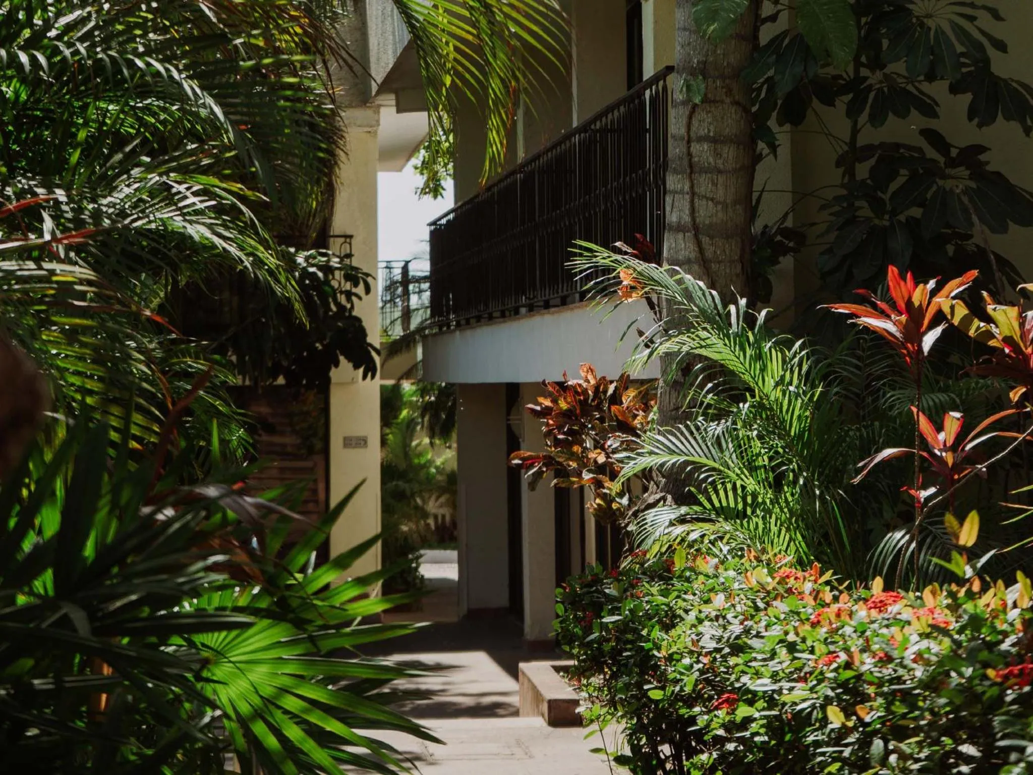 Property building in HS HOTSSON Hotel Tampico