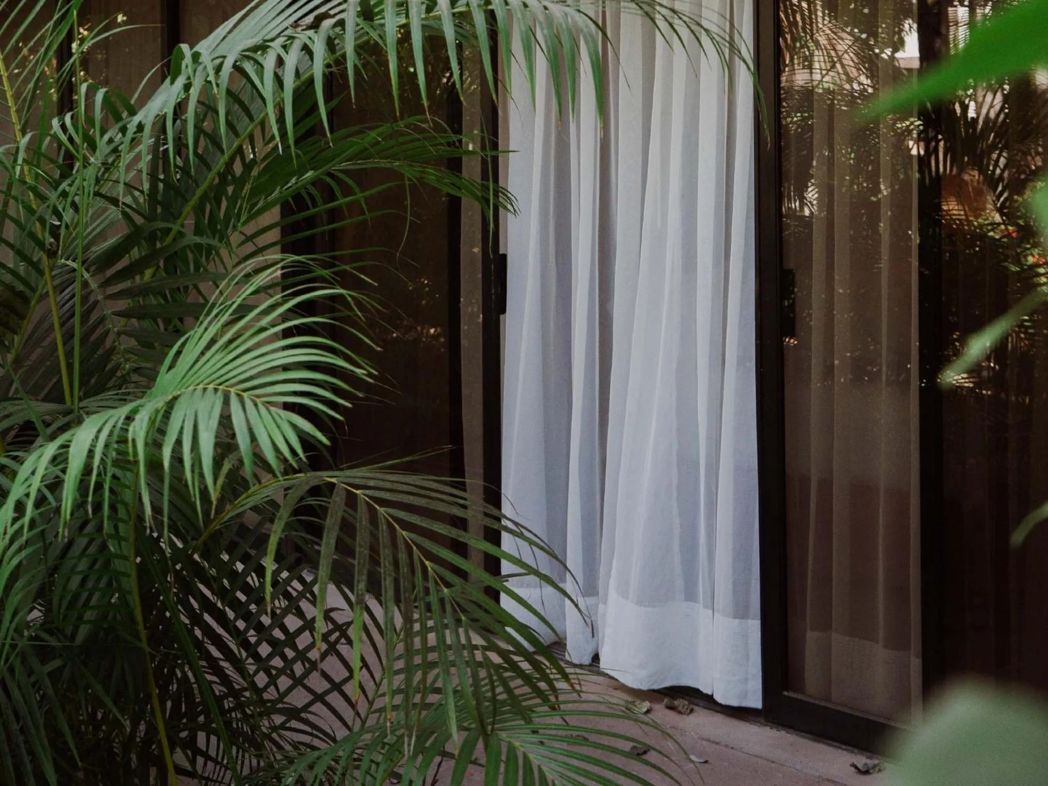 Day in HS HOTSSON Hotel Tampico