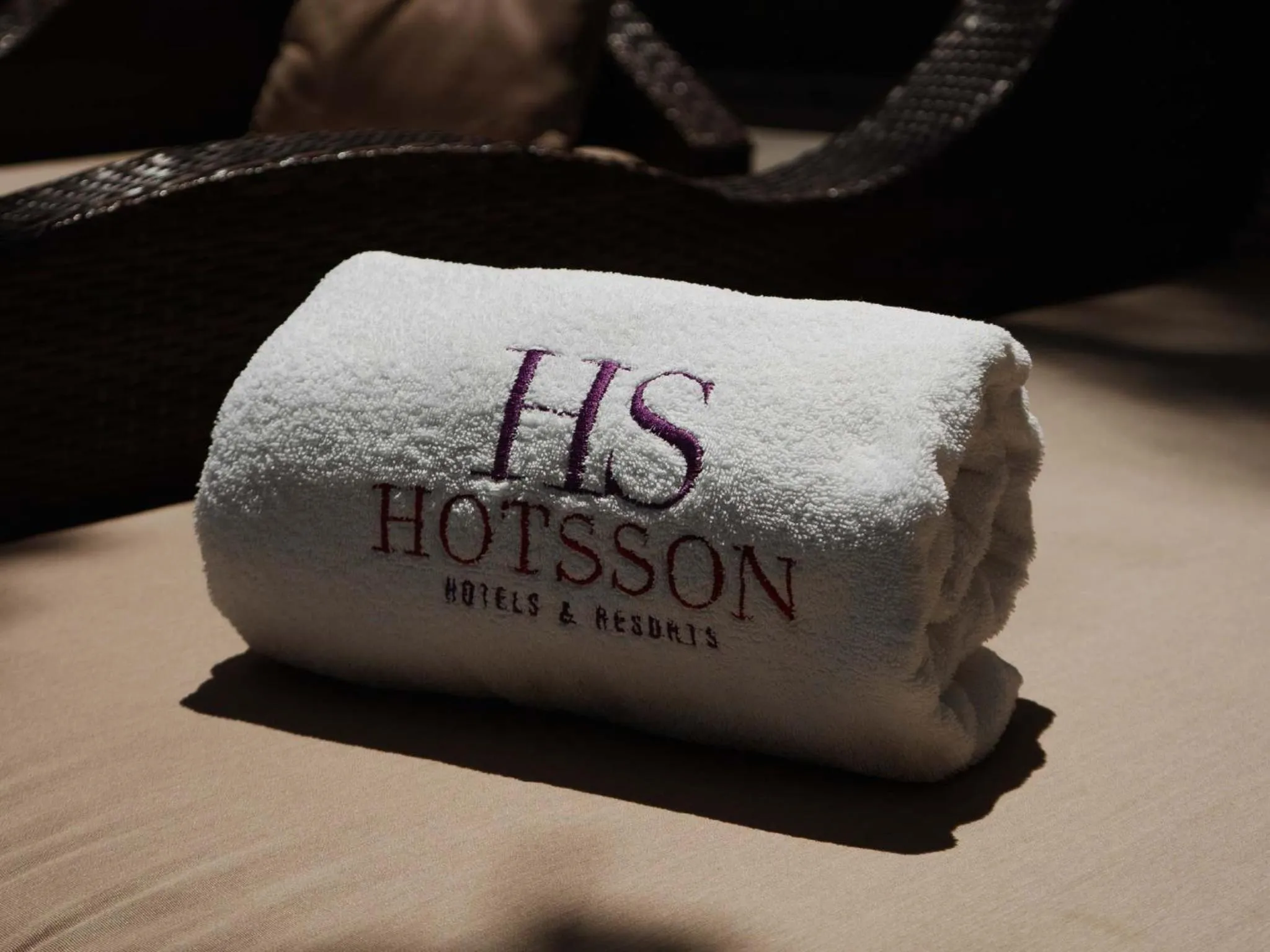 Property logo or sign in HS HOTSSON Hotel Tampico