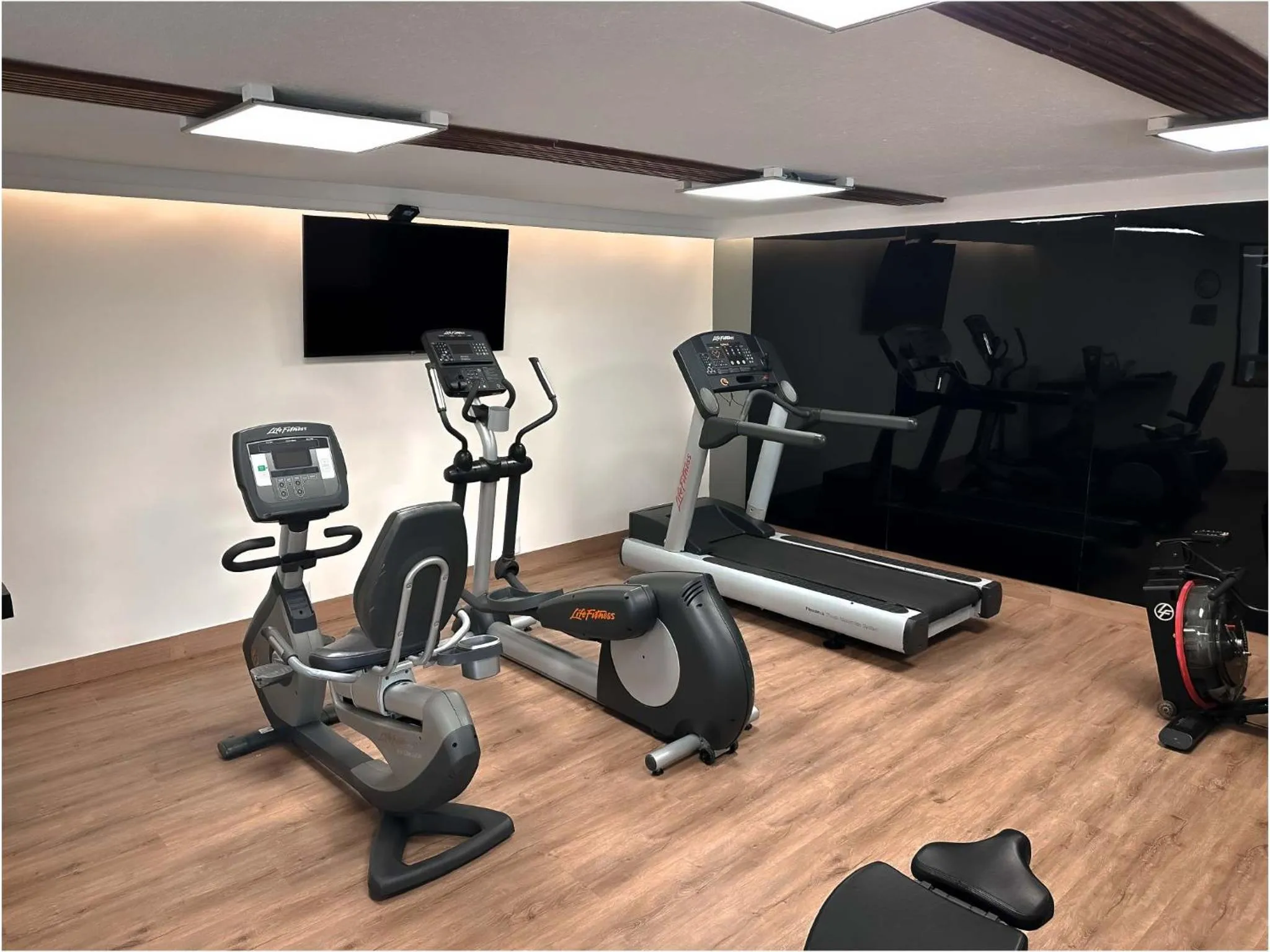 Fitness centre/facilities in HS HOTSSON Hotel Tampico