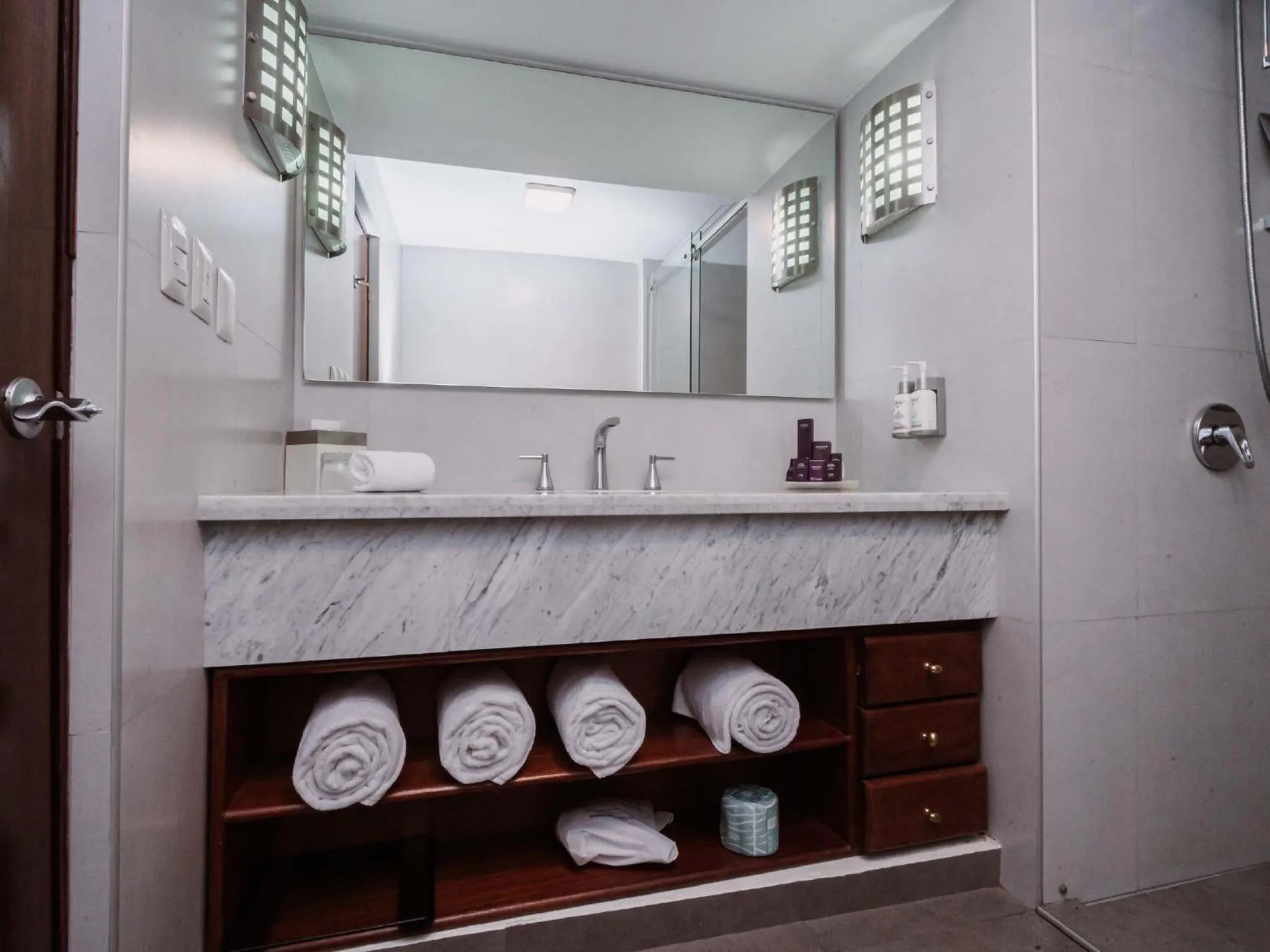 Shower in HS HOTSSON Hotel Tampico