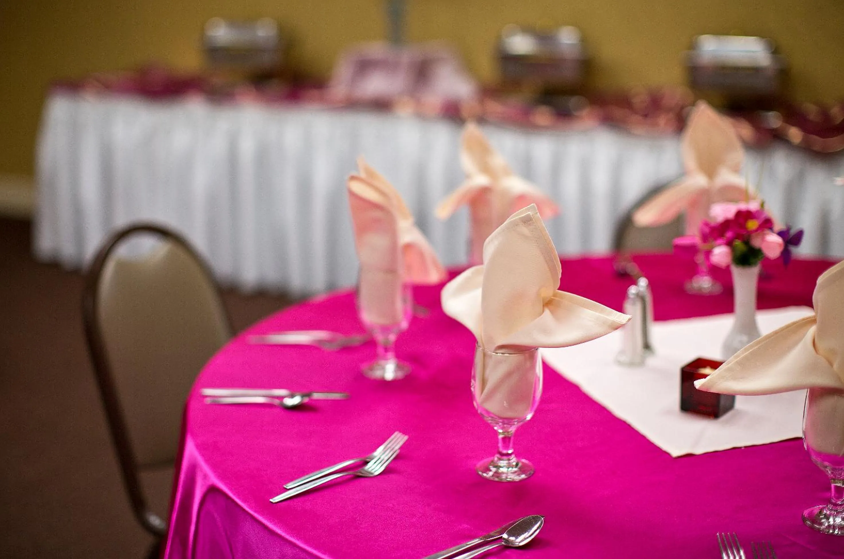 Banquet/Function facilities in Coast Inn at Lake Hood