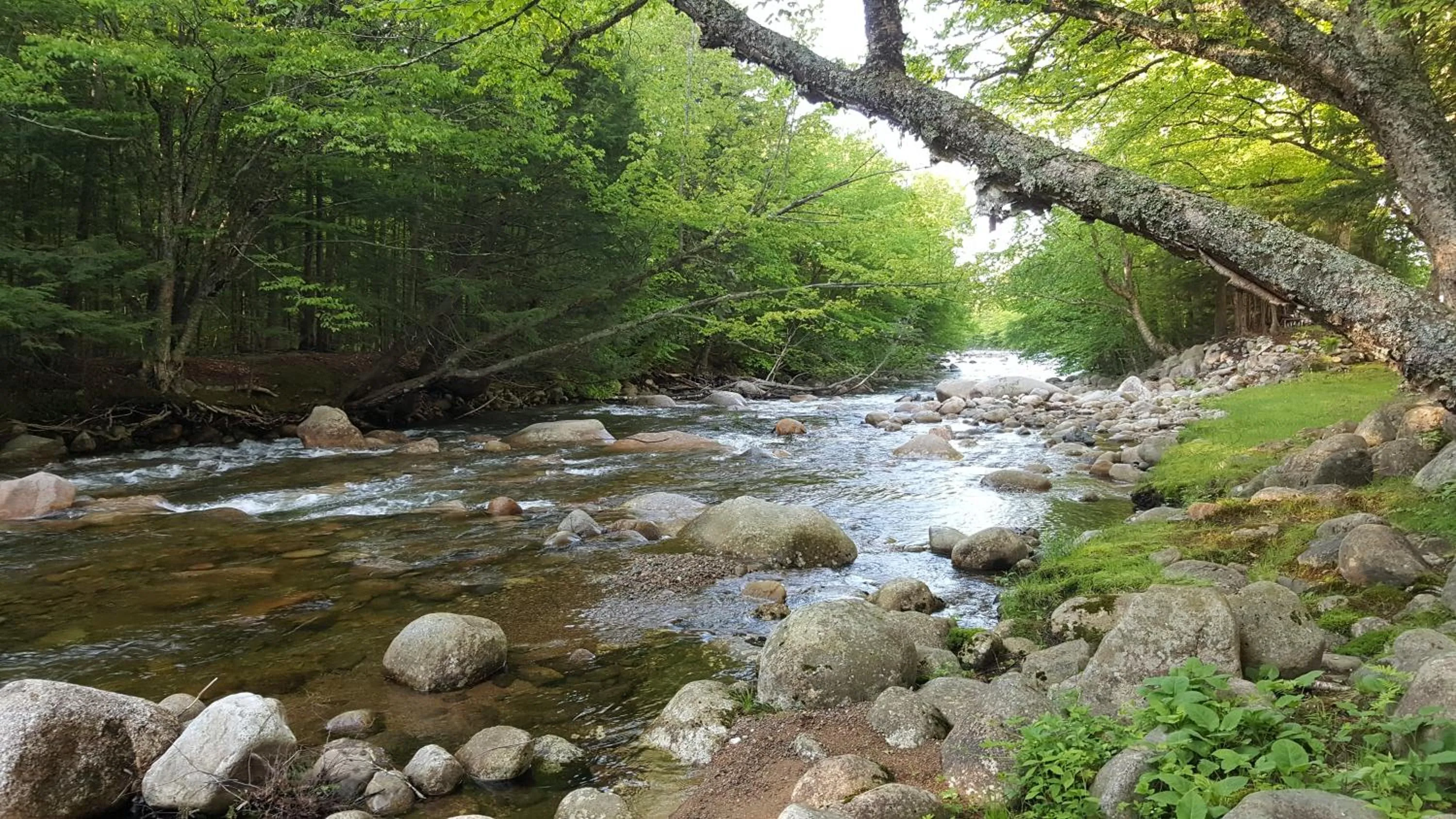 Natural landscape in Franconia Notch Motel