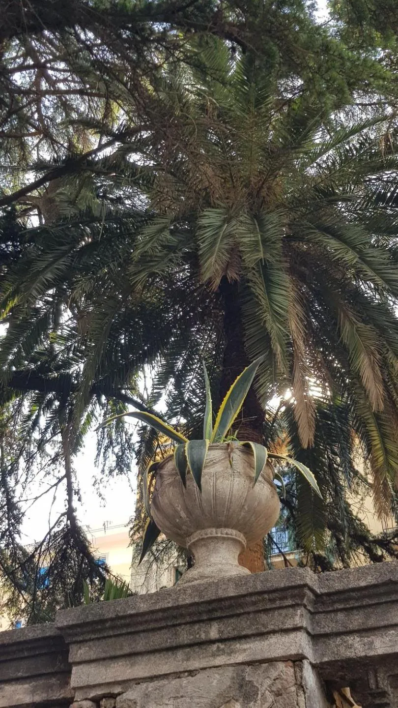 Garden in B&B IL CEDRO