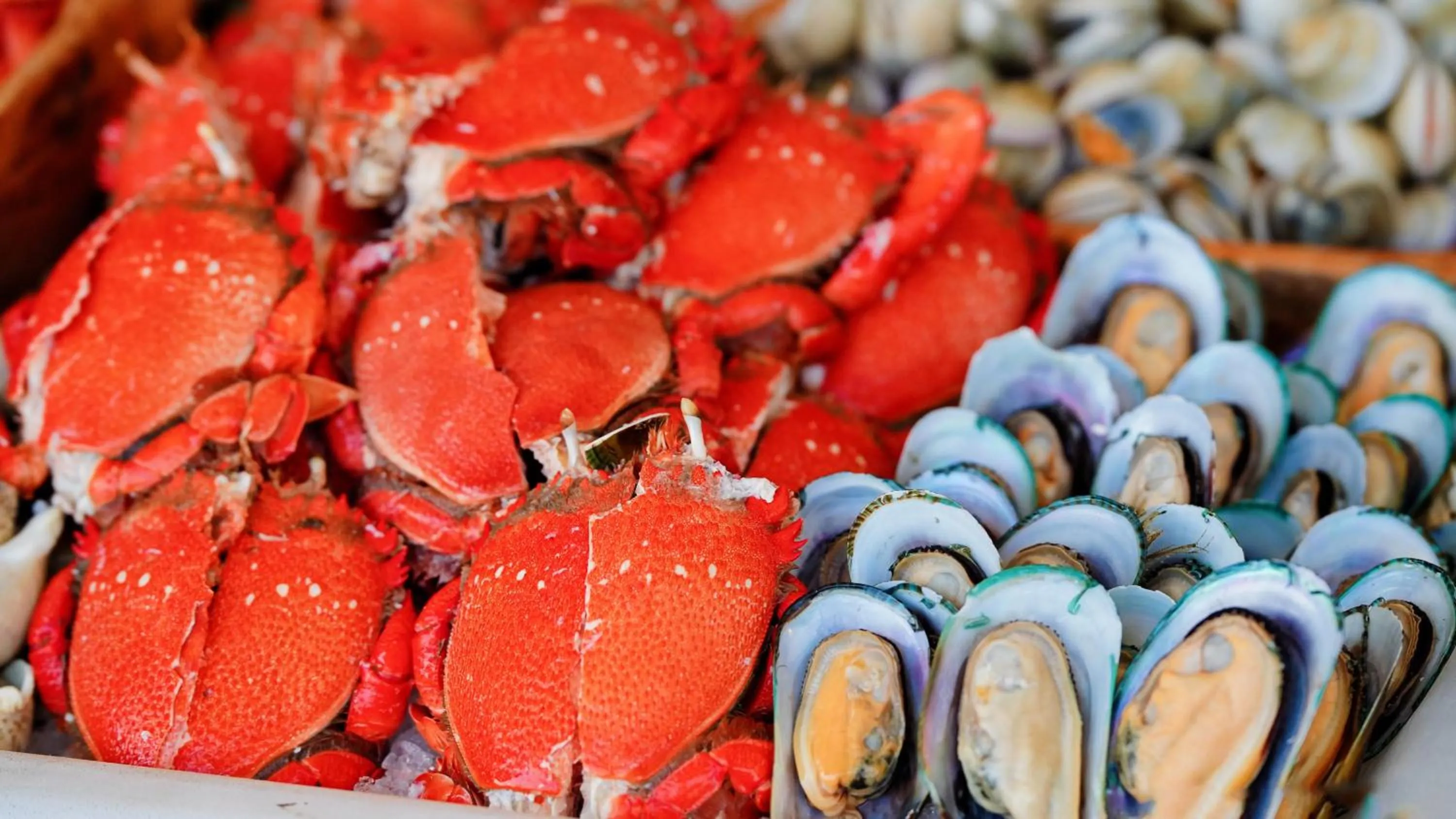 Meeting/conference room in InterContinental One Thousand Island Lake Resort, an IHG Hotel
