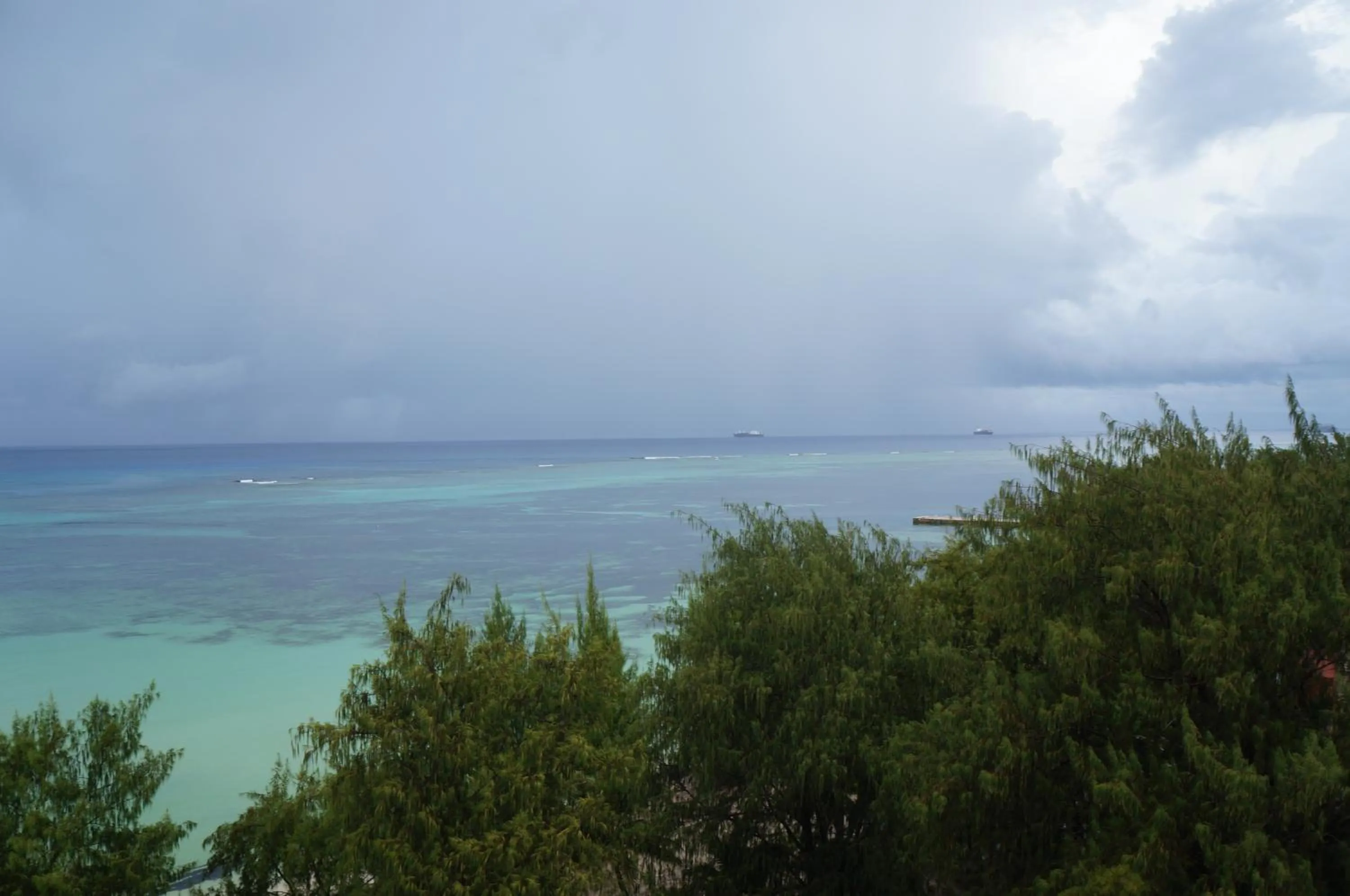 Natural landscape in Aquarius Beach Tower