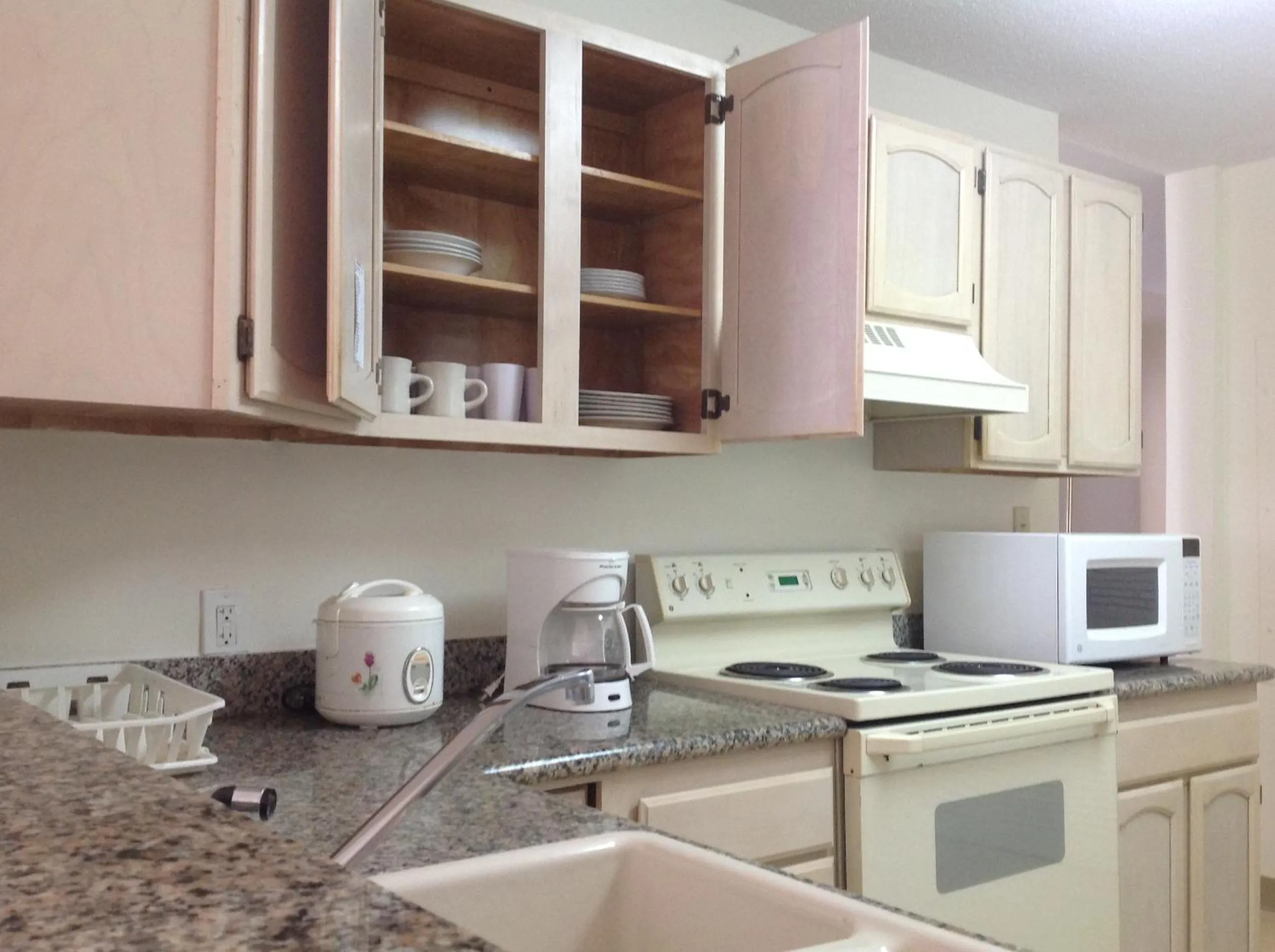 Kitchen or kitchenette in Aquarius Beach Tower