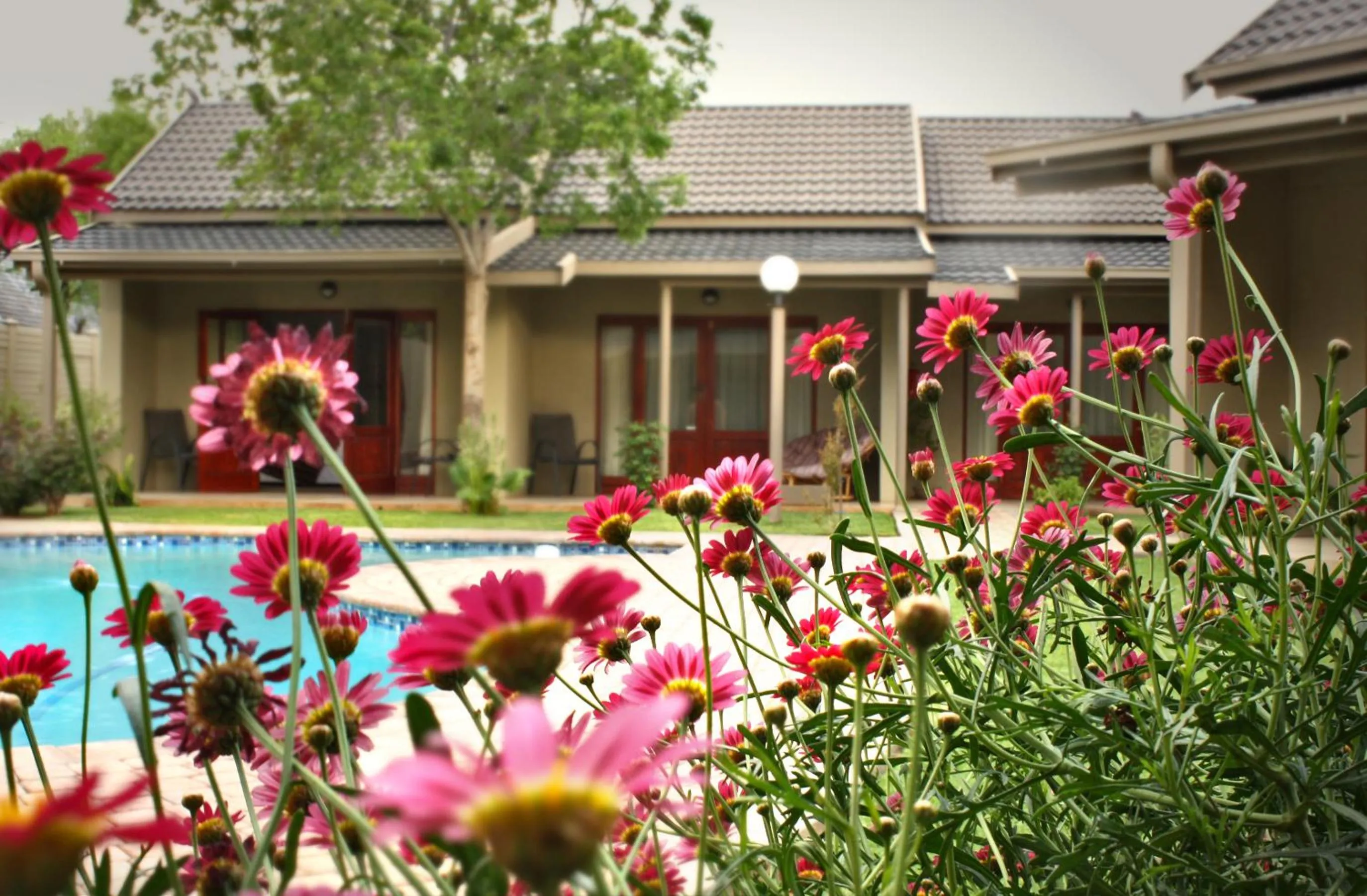 Garden in Mondior Manor Guest House