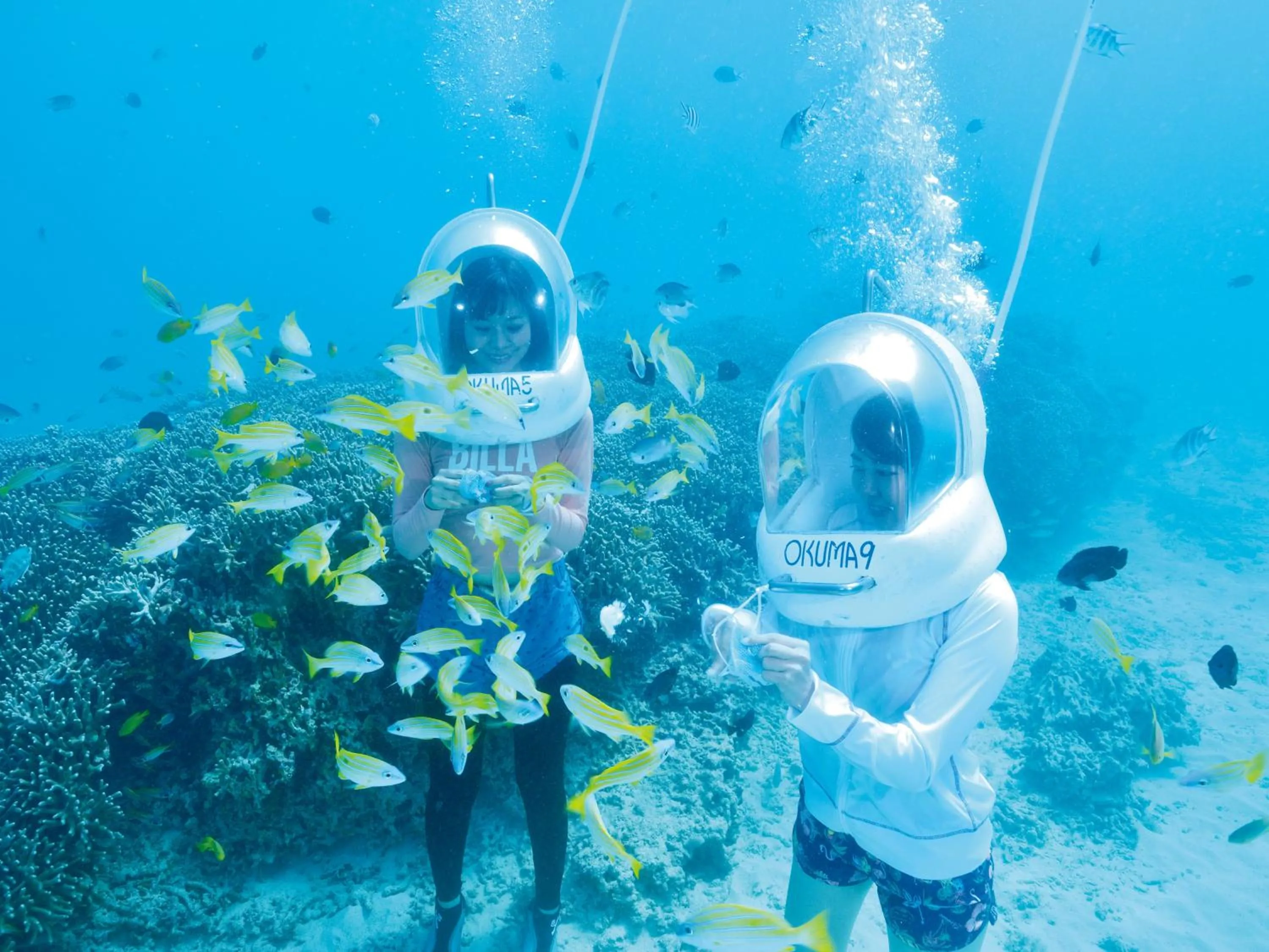 Activities in Okuma Private Beach & Resort