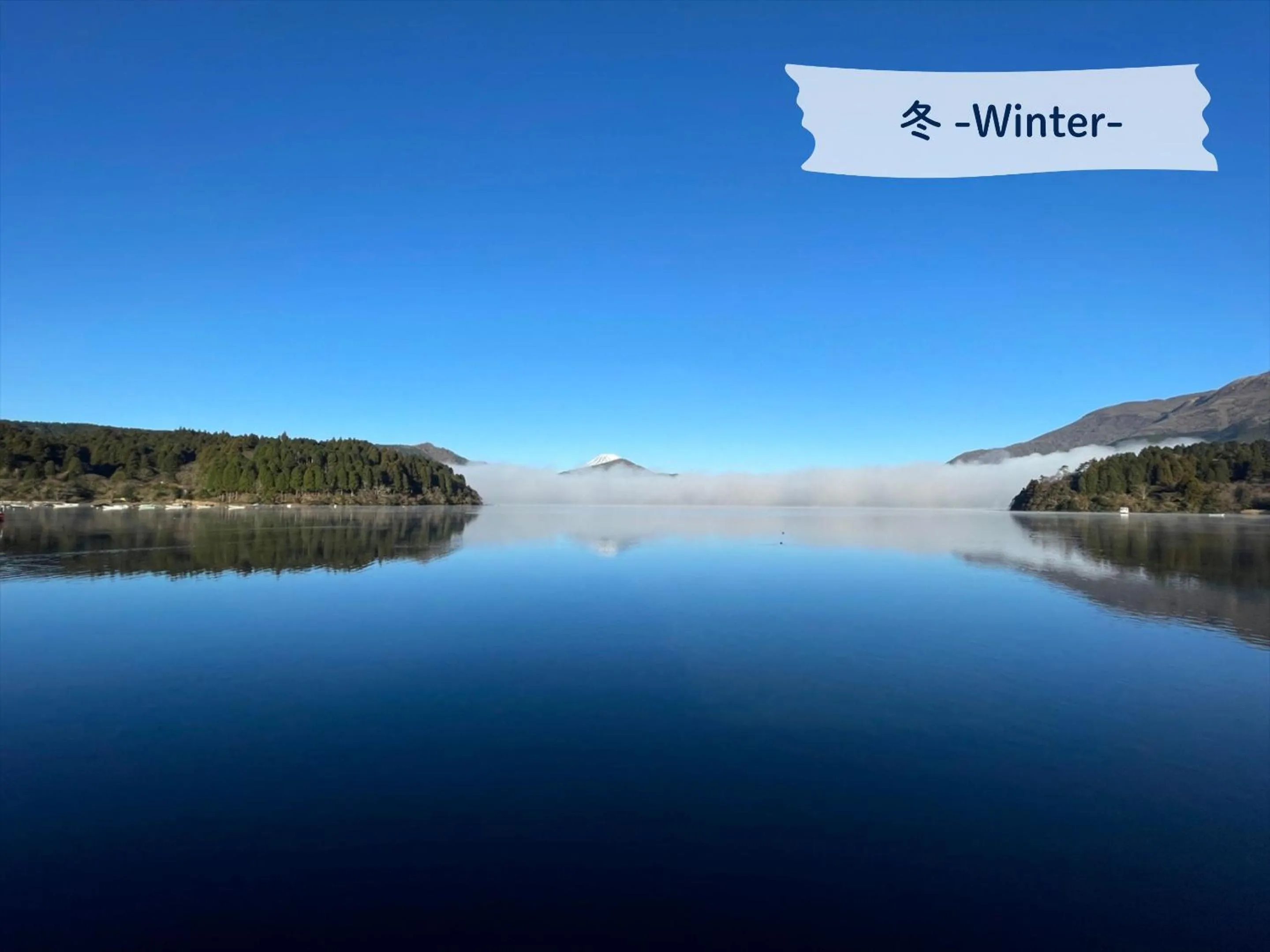 View (from property/room) in Hakone Hotel
