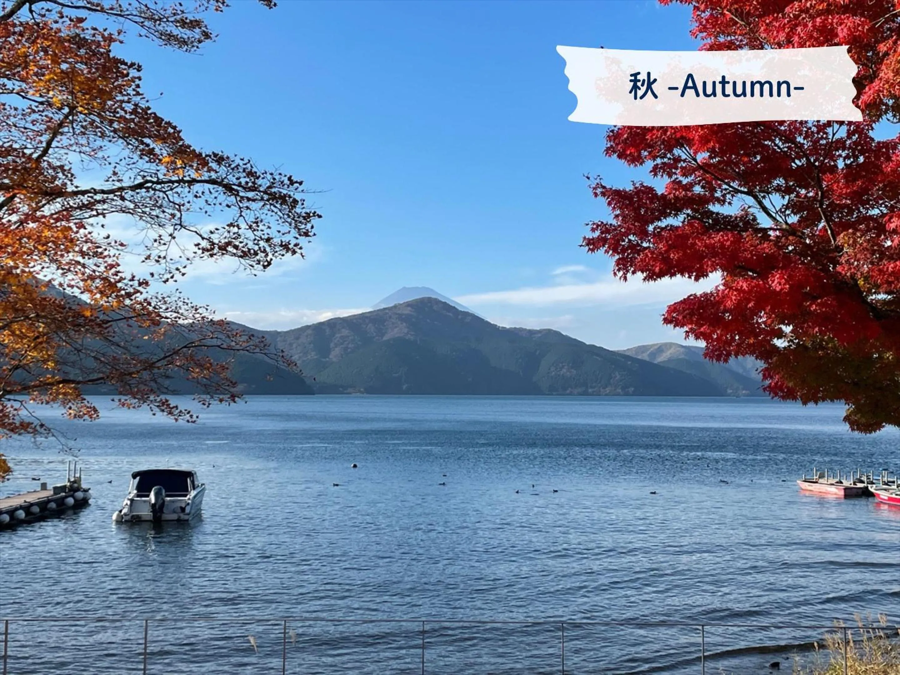 View (from property/room) in Hakone Hotel