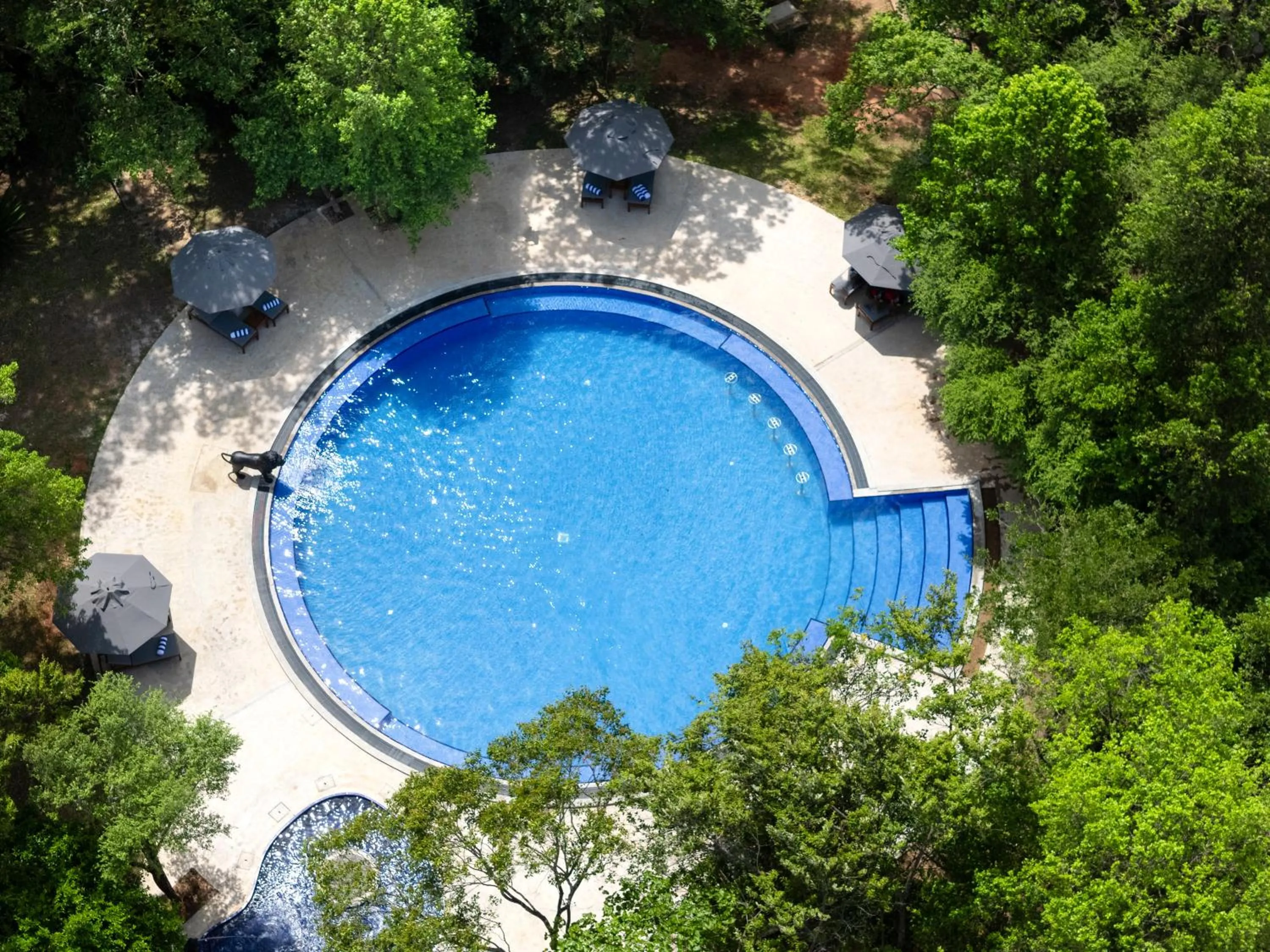 Swimming pool in Ayugiri Ayurveda Wellness Resort Sigiriya