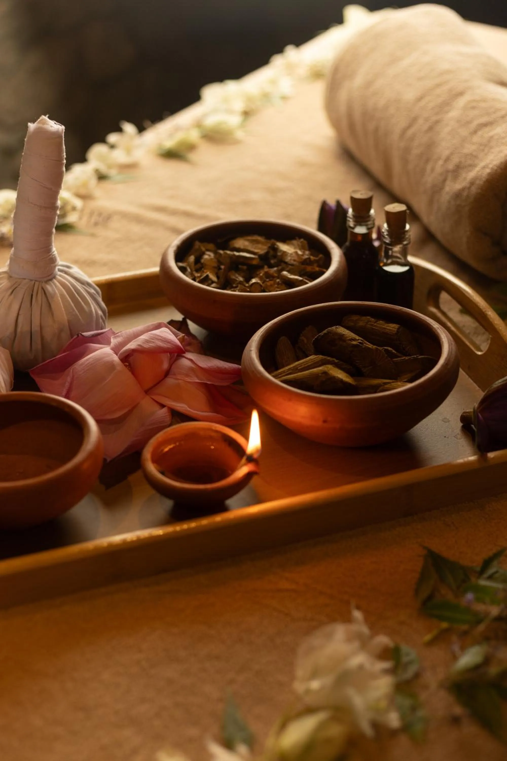 Spa and wellness centre/facilities in Ayugiri Ayurveda Wellness Resort Sigiriya