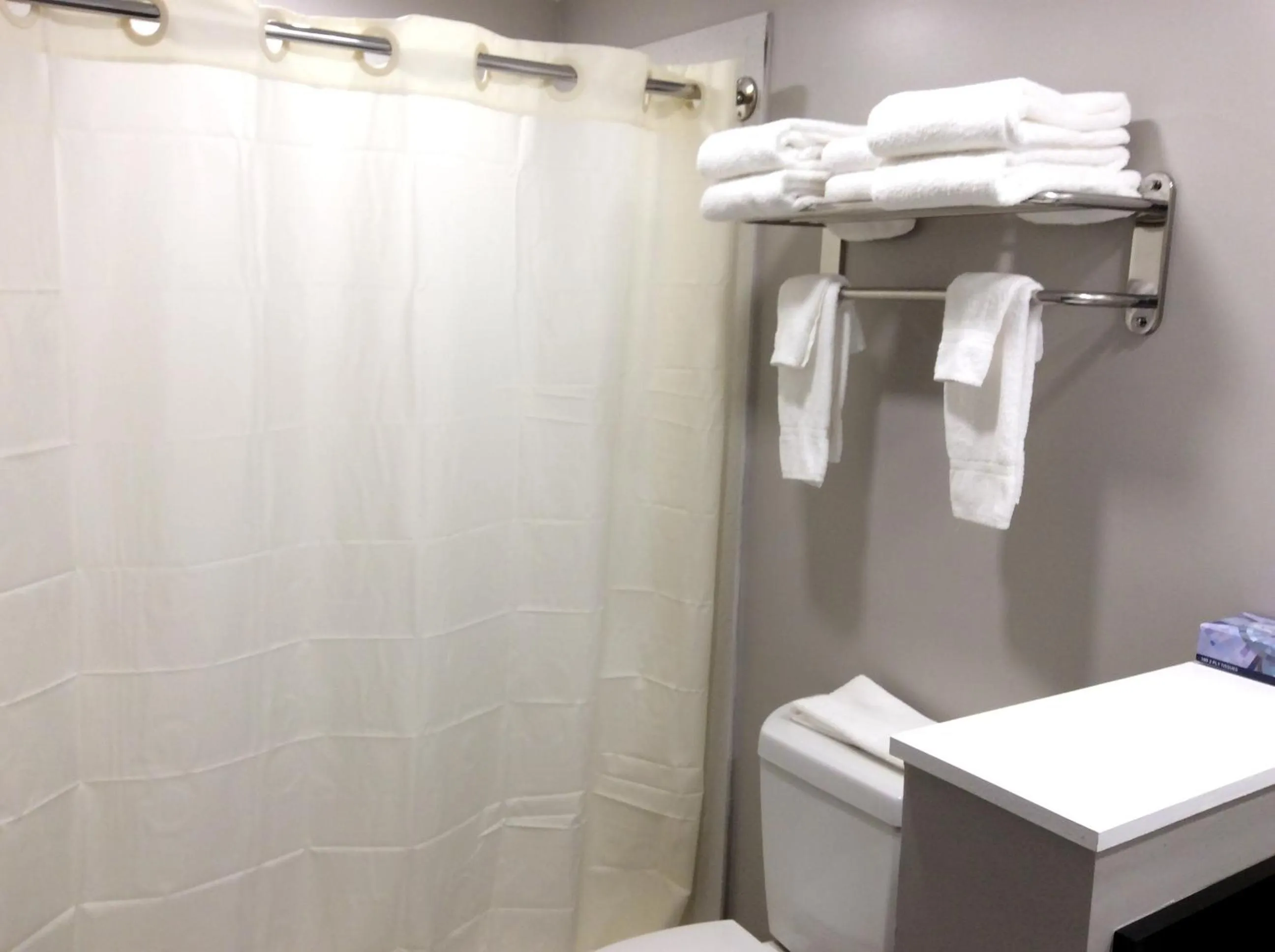 Toilet in Ocean's 24