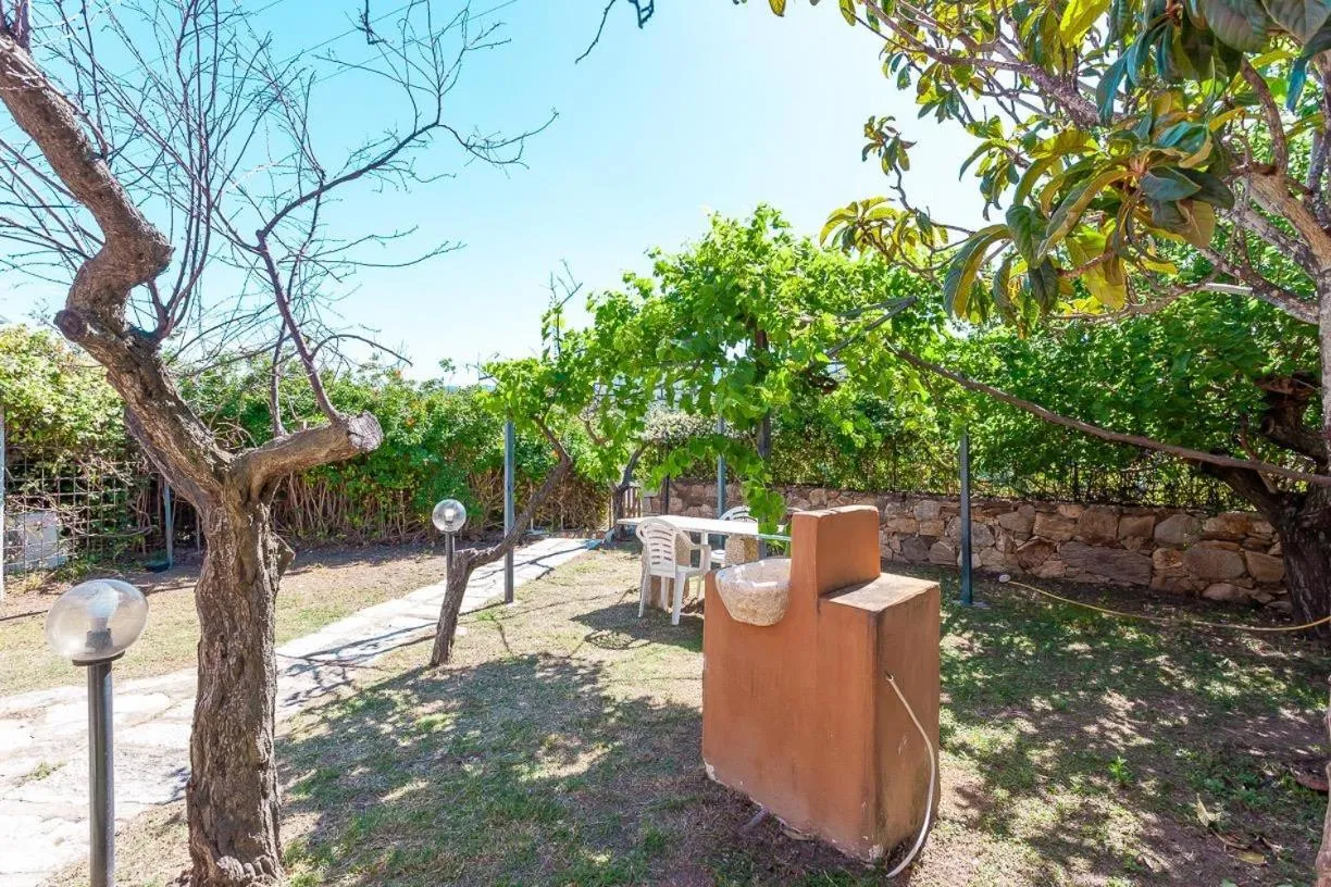 B&B Pettirosso Garden