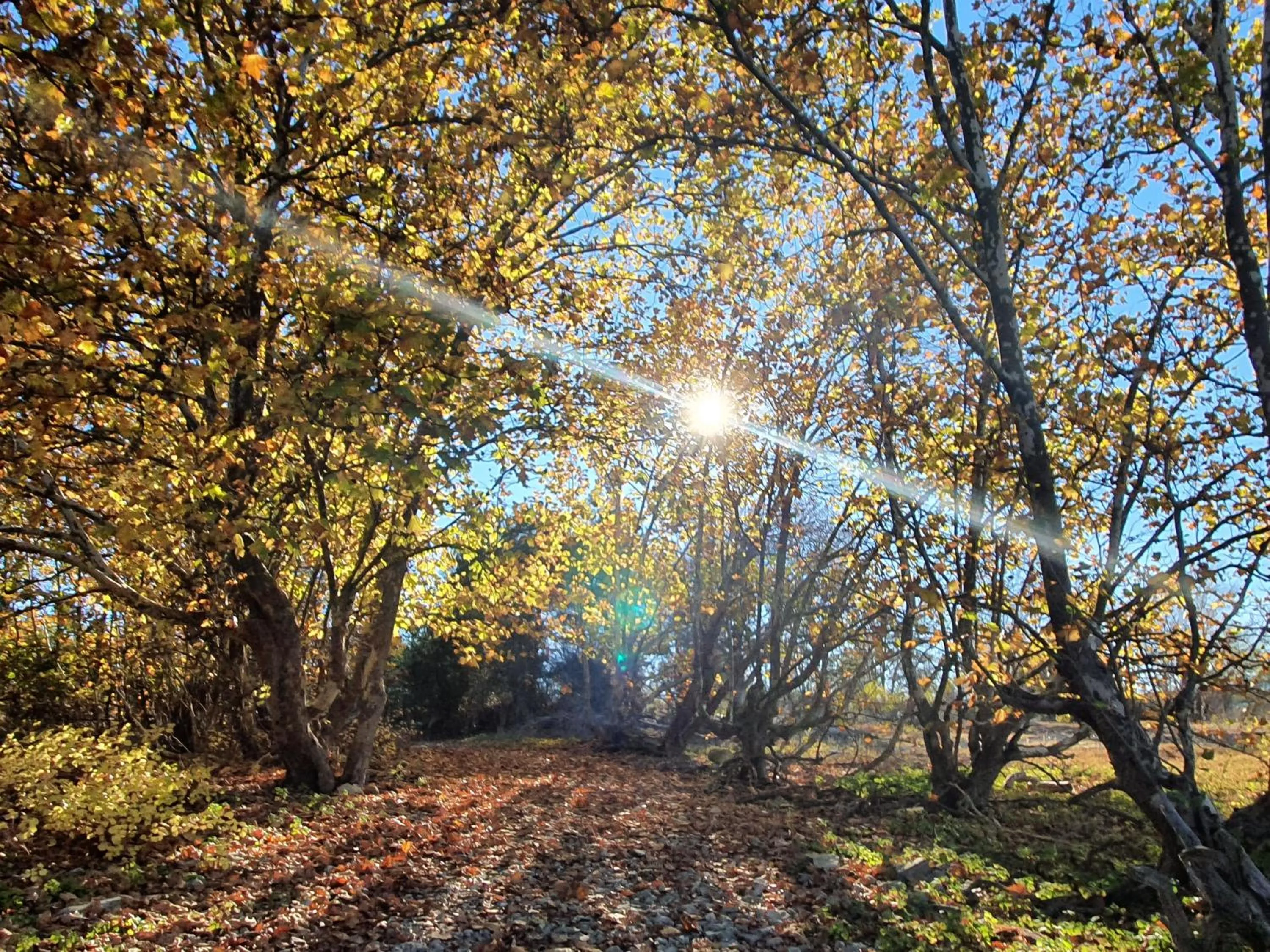 Natural landscape in Boutique Hotel Tierra Buxo - Adults Only