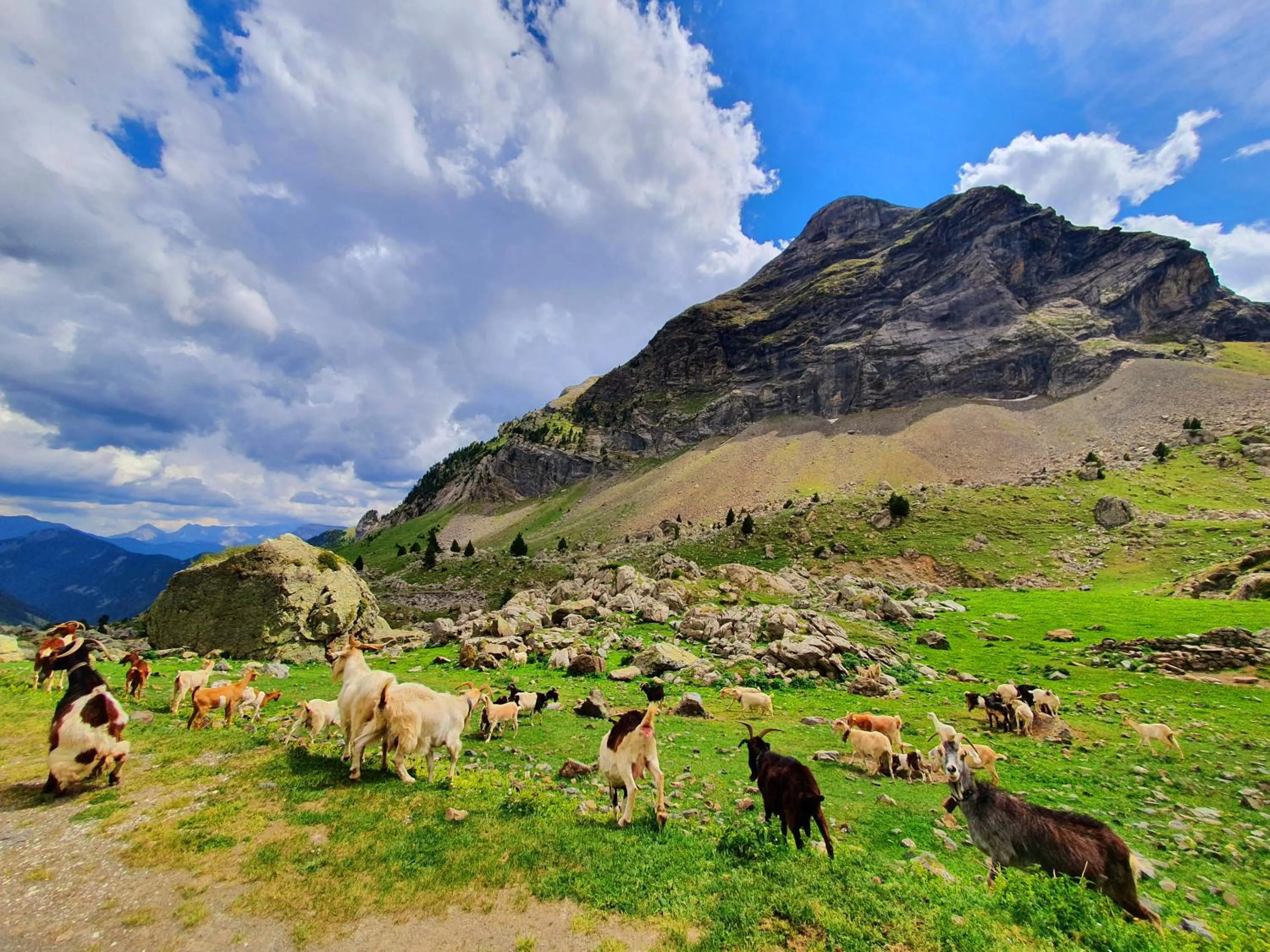 Nearby landmark in Boutique Hotel Tierra Buxo - Adults Only