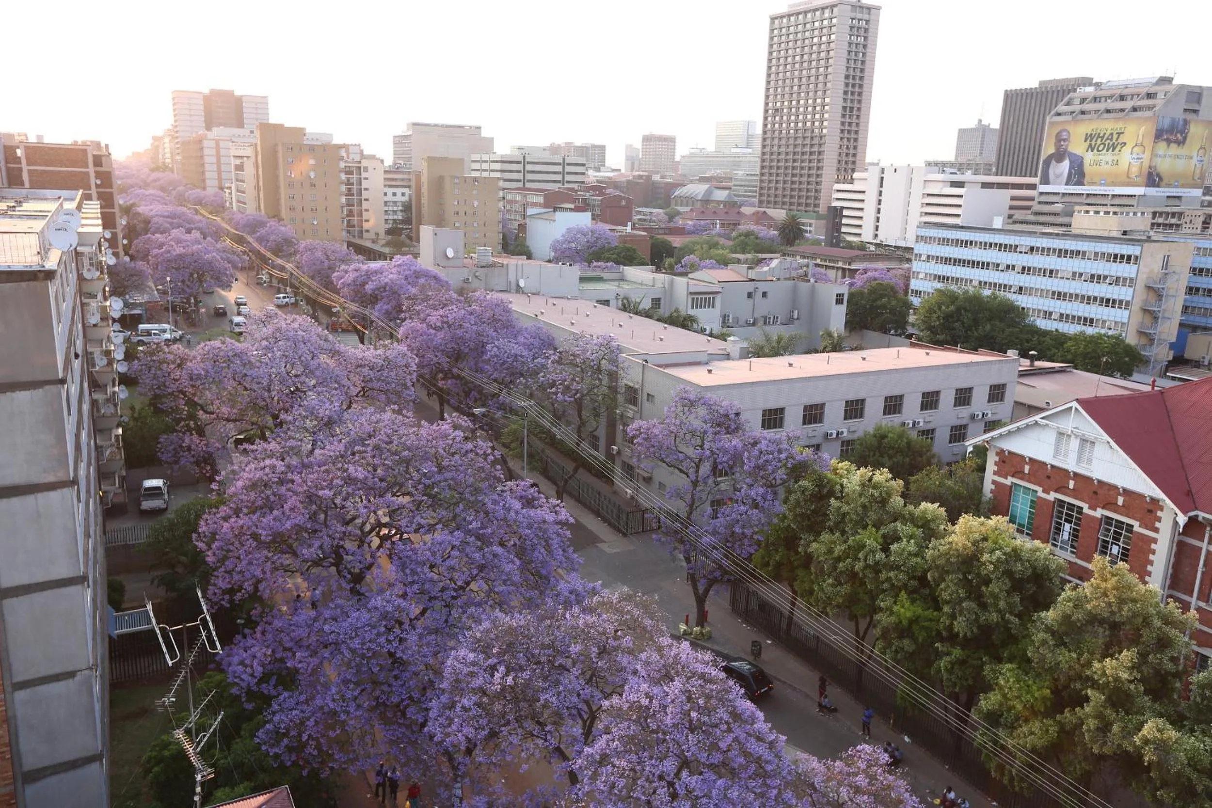 Spring in Inani Hotel Morning Star