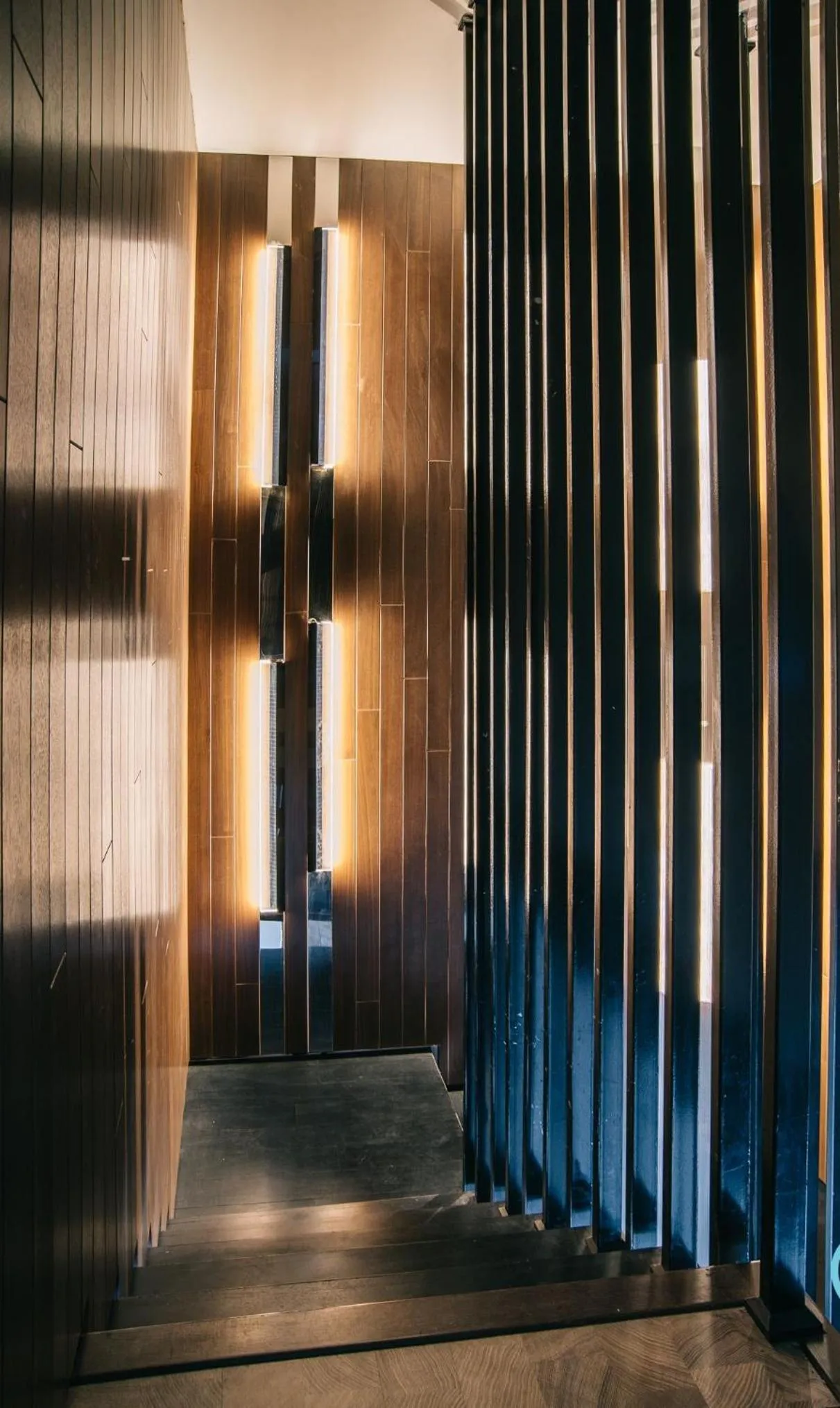 Expressionz Professional Suites by MyKey