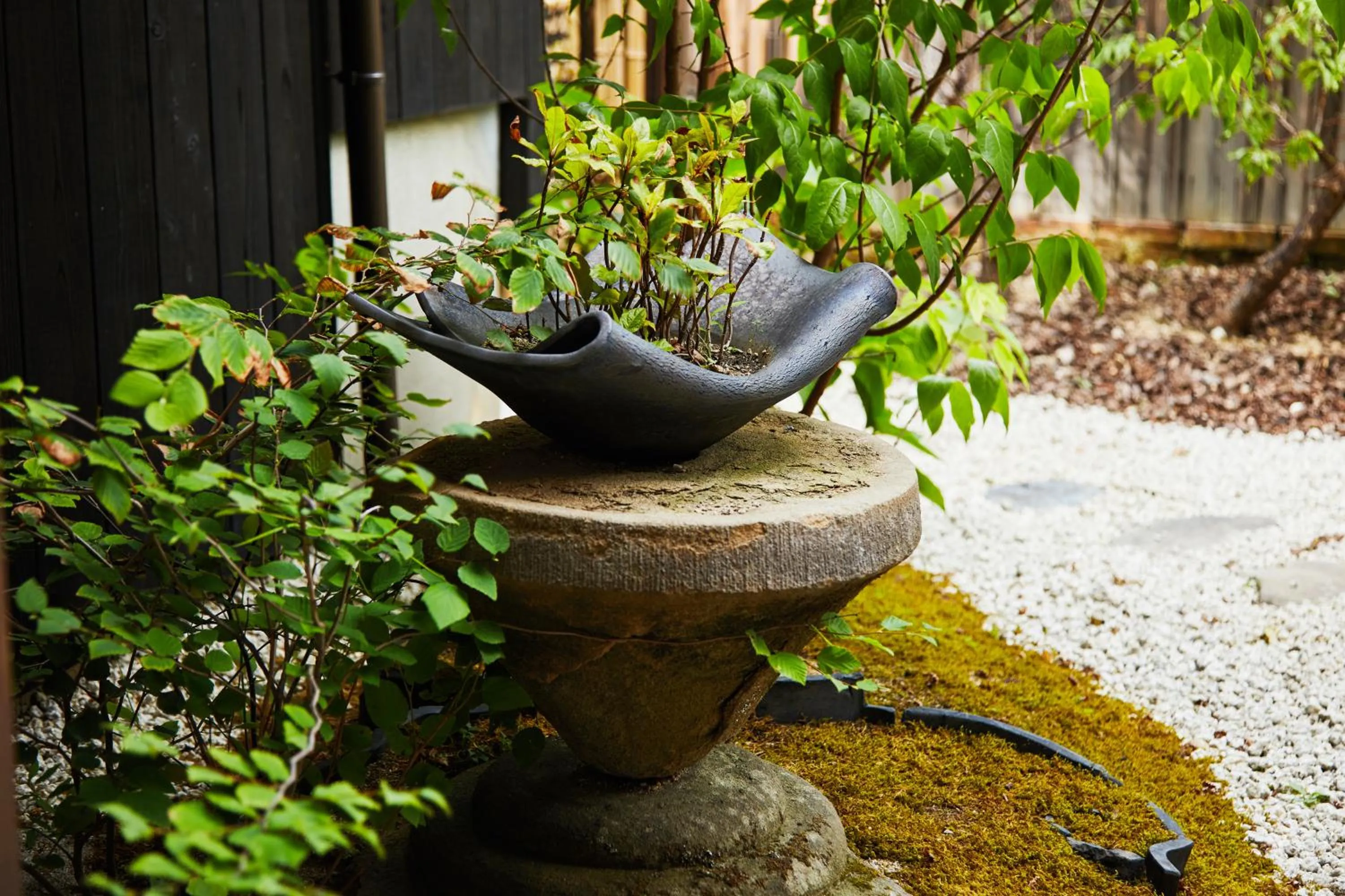 Garden in Kyomachiya Hotel Mifuku