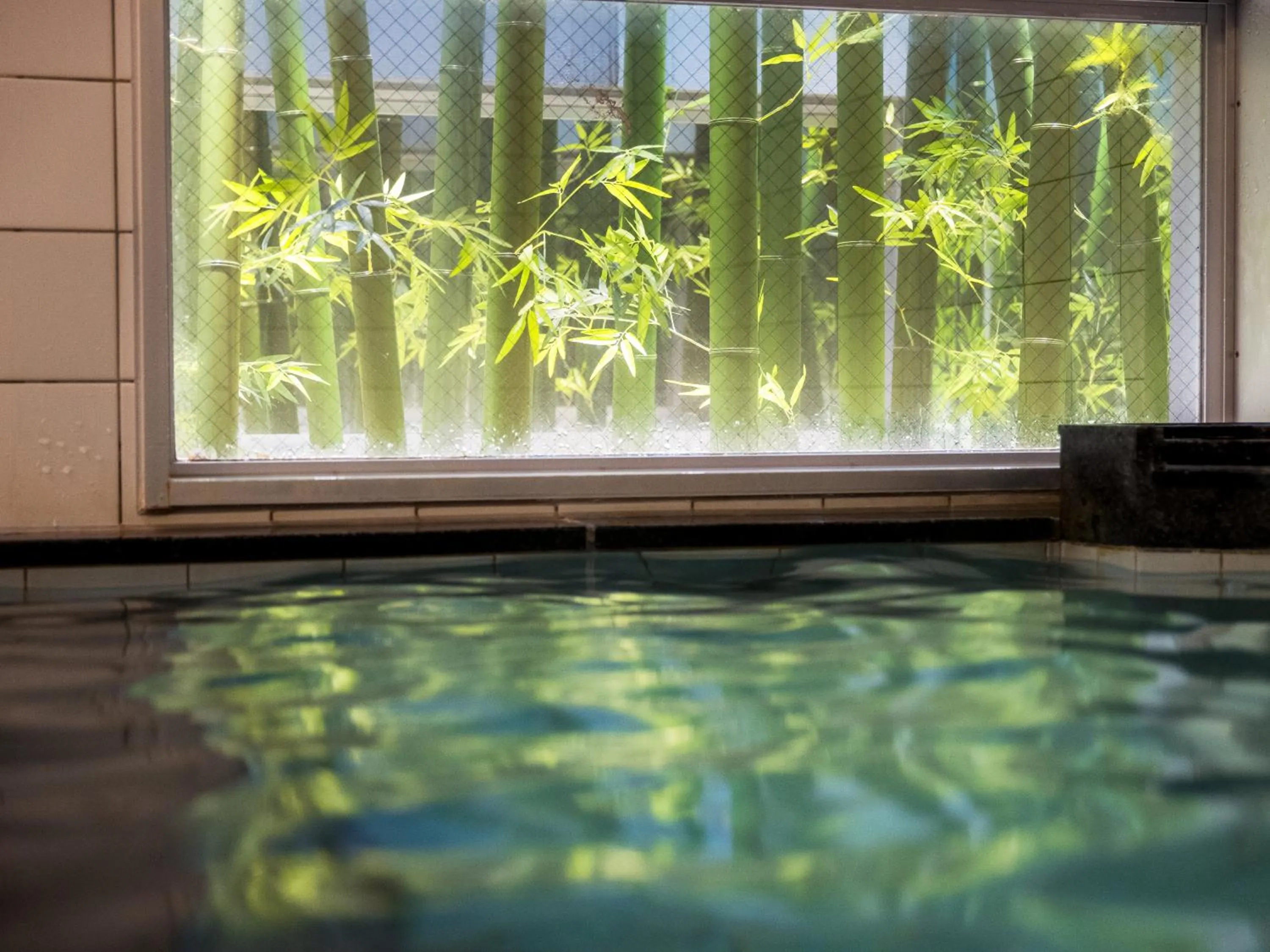 Hot Spring Bath in Super Hotel Yokkaichi Route 1