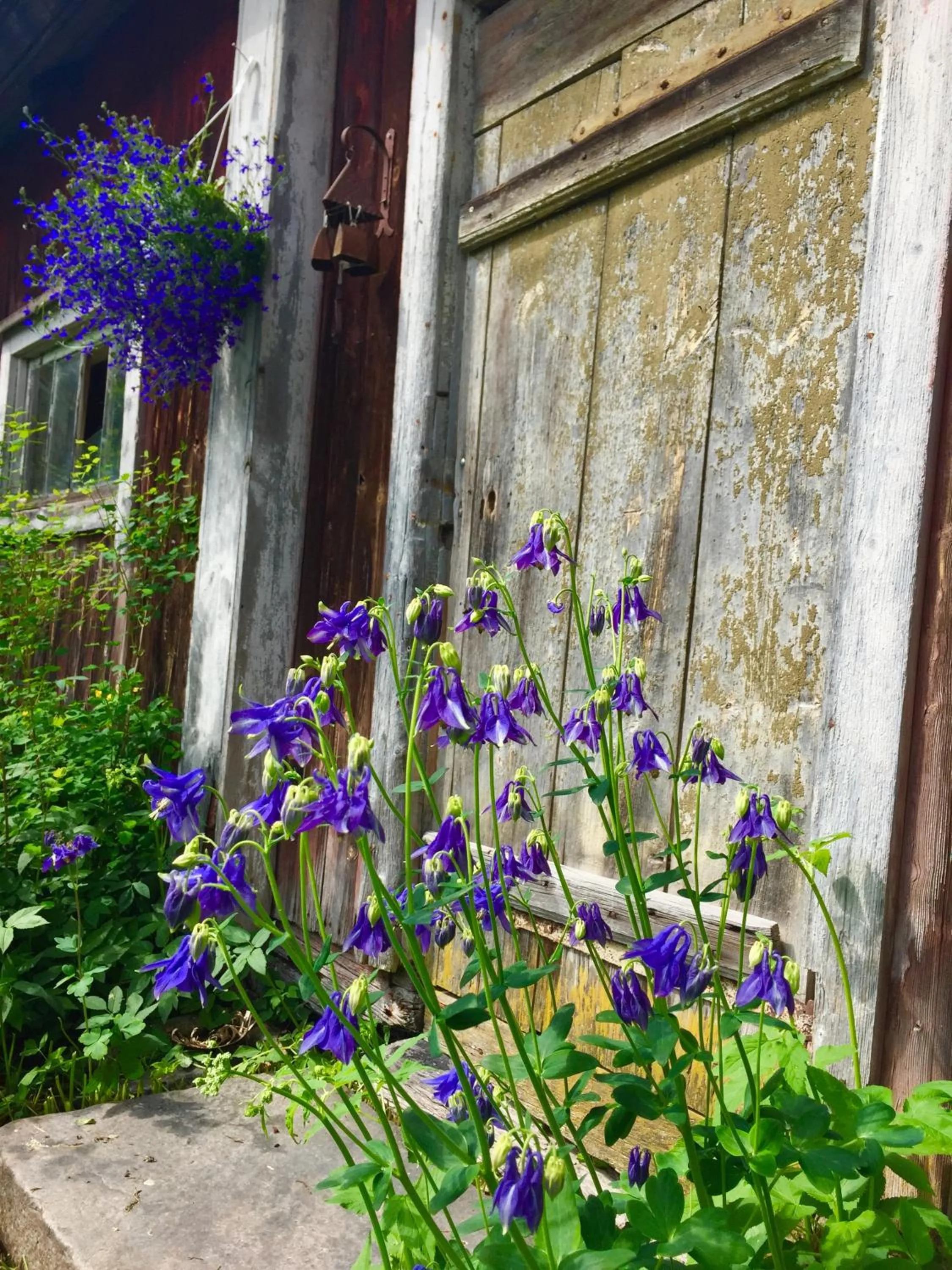 Johanssons Gårdshotell i Roslagen