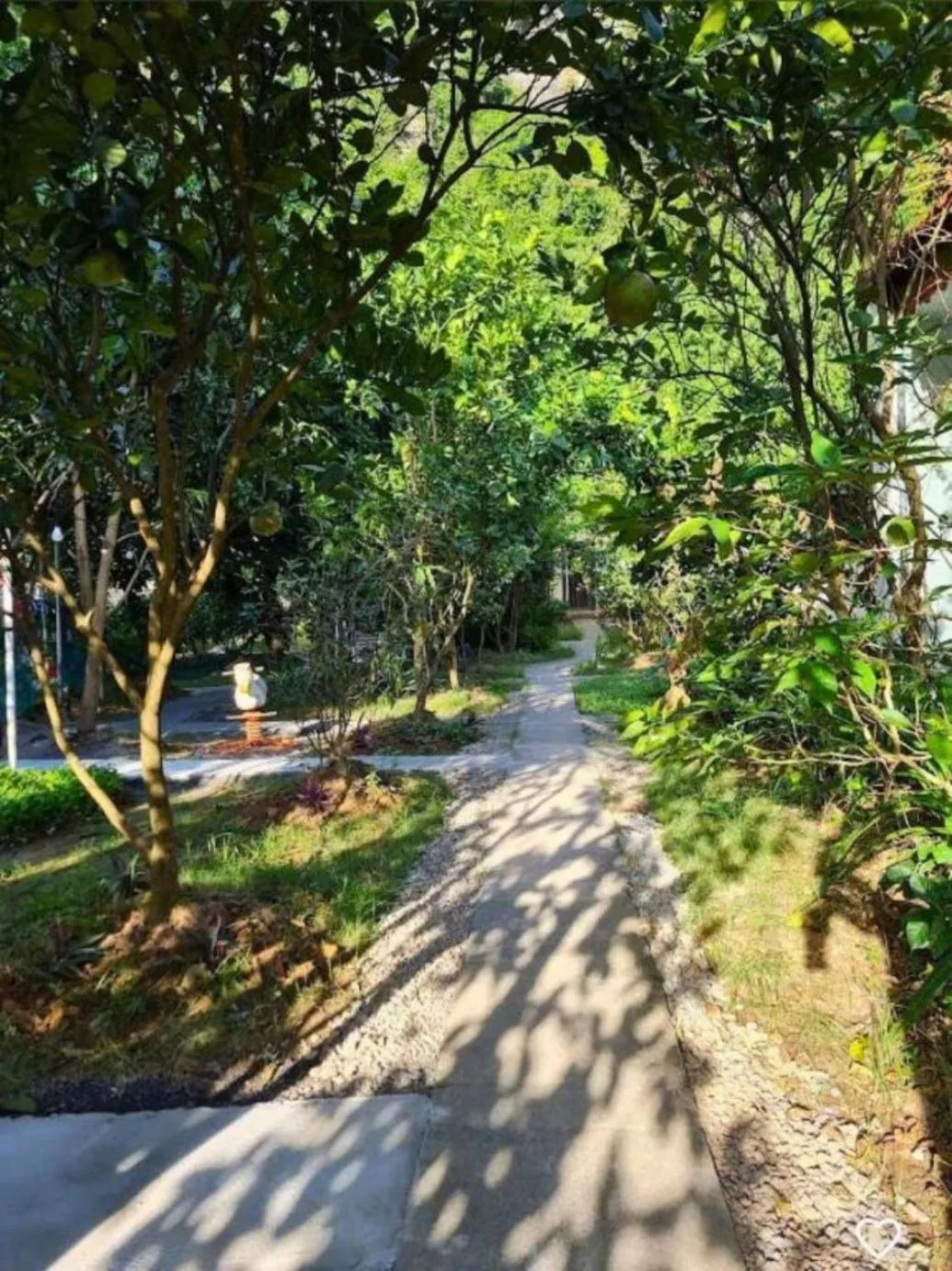 Garden view in Trang An Retreat