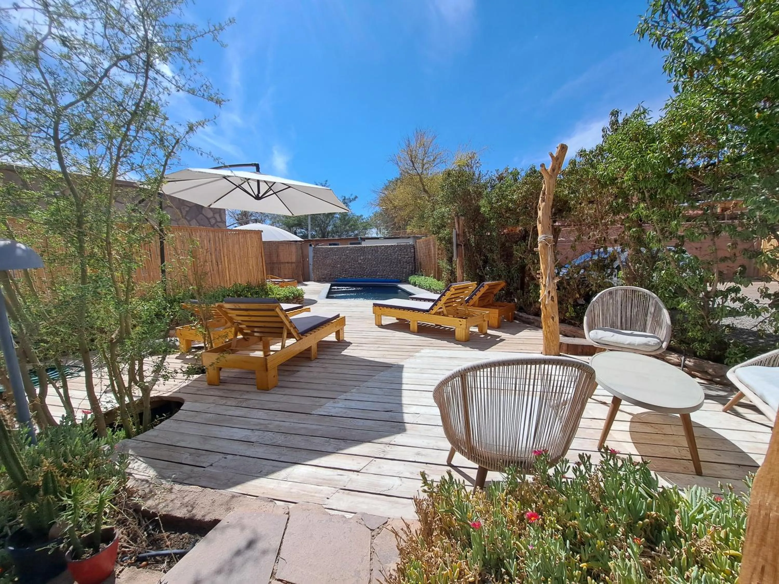 Pool view in Hotel Jardin Atacama