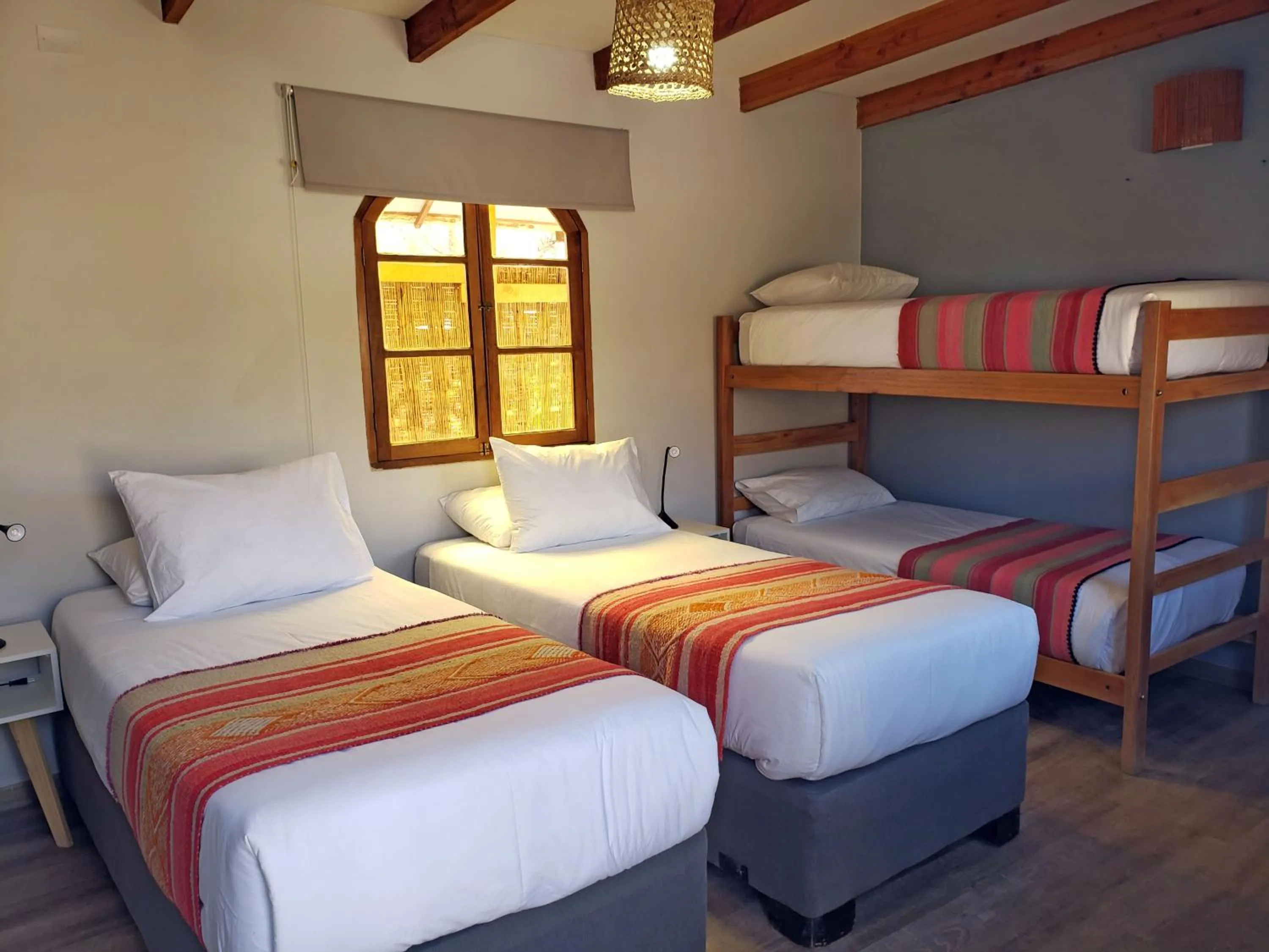 Decorative detail, Bed in Hotel Jardin Atacama