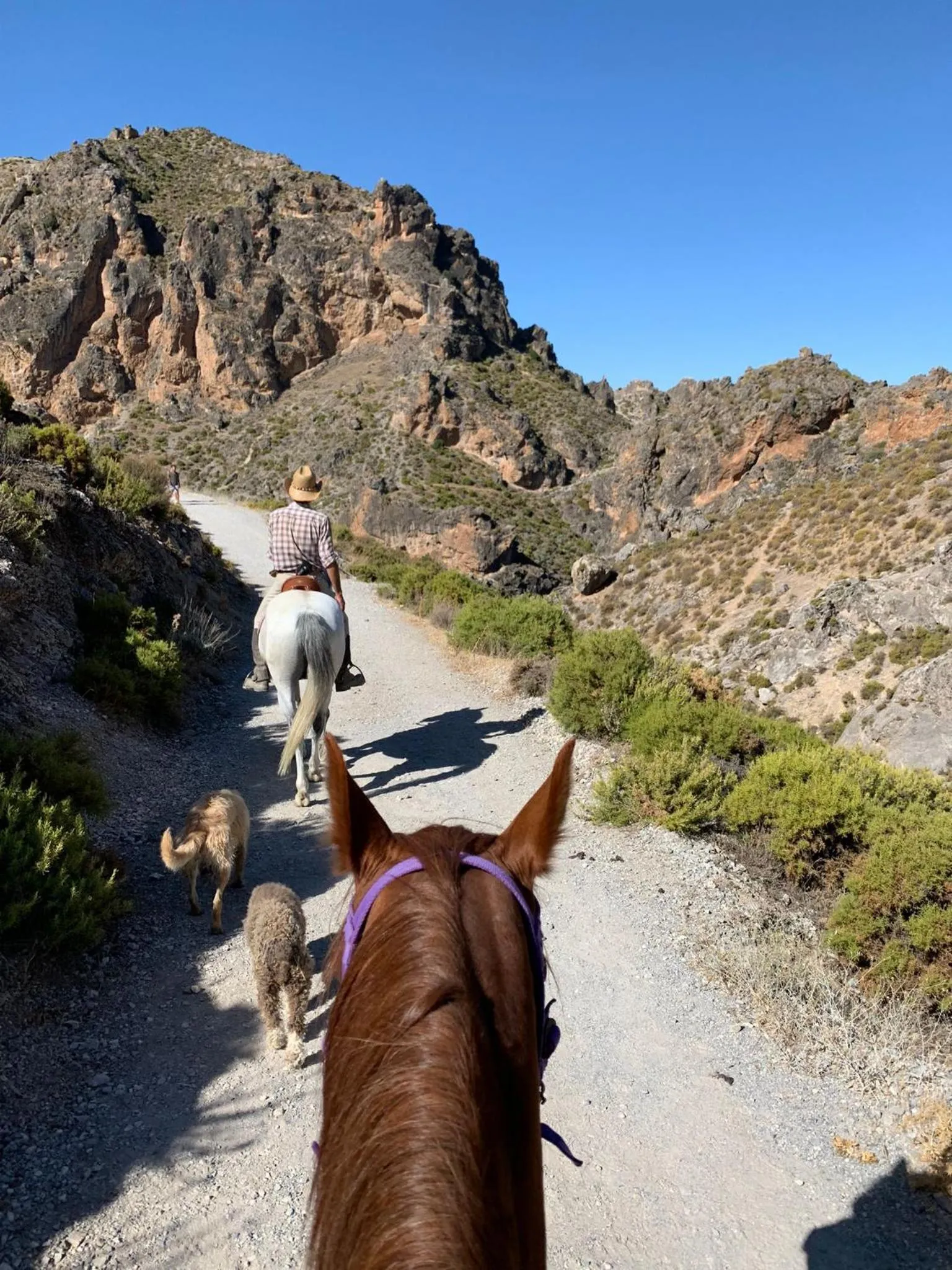 Activities in ECO Hostel