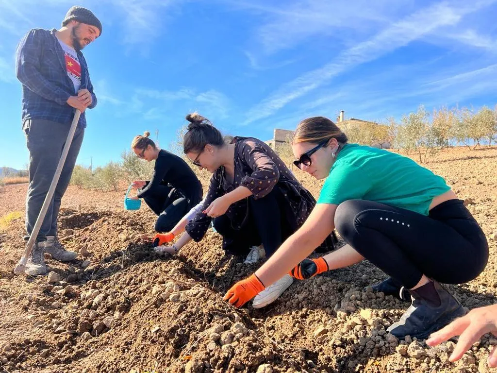 Activities in ECO Hostel