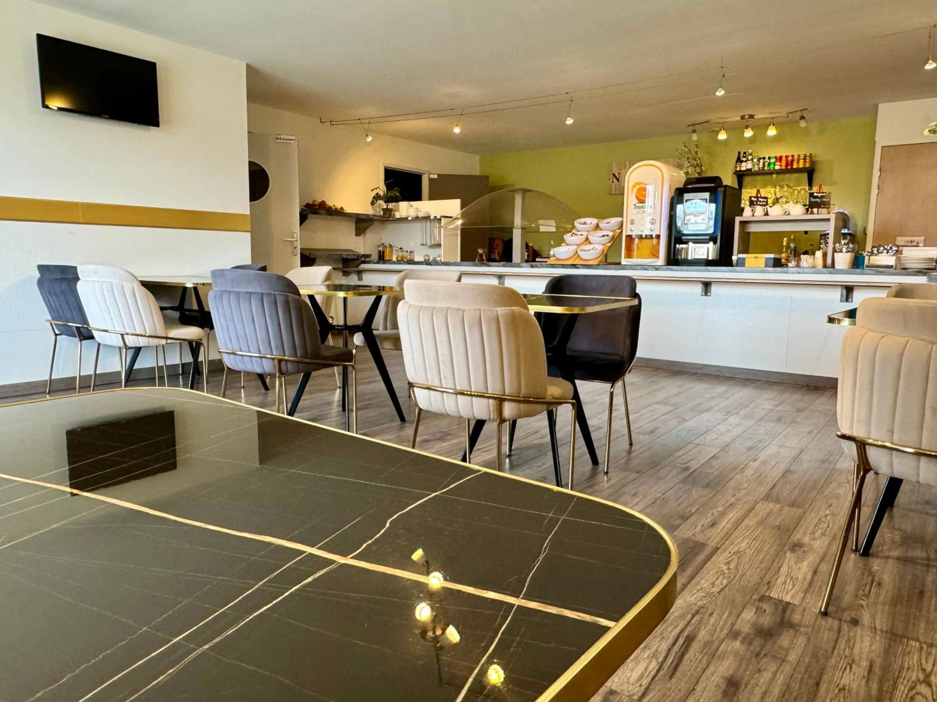 TV and multimedia in Kyriad Toulouse Sud - Roques