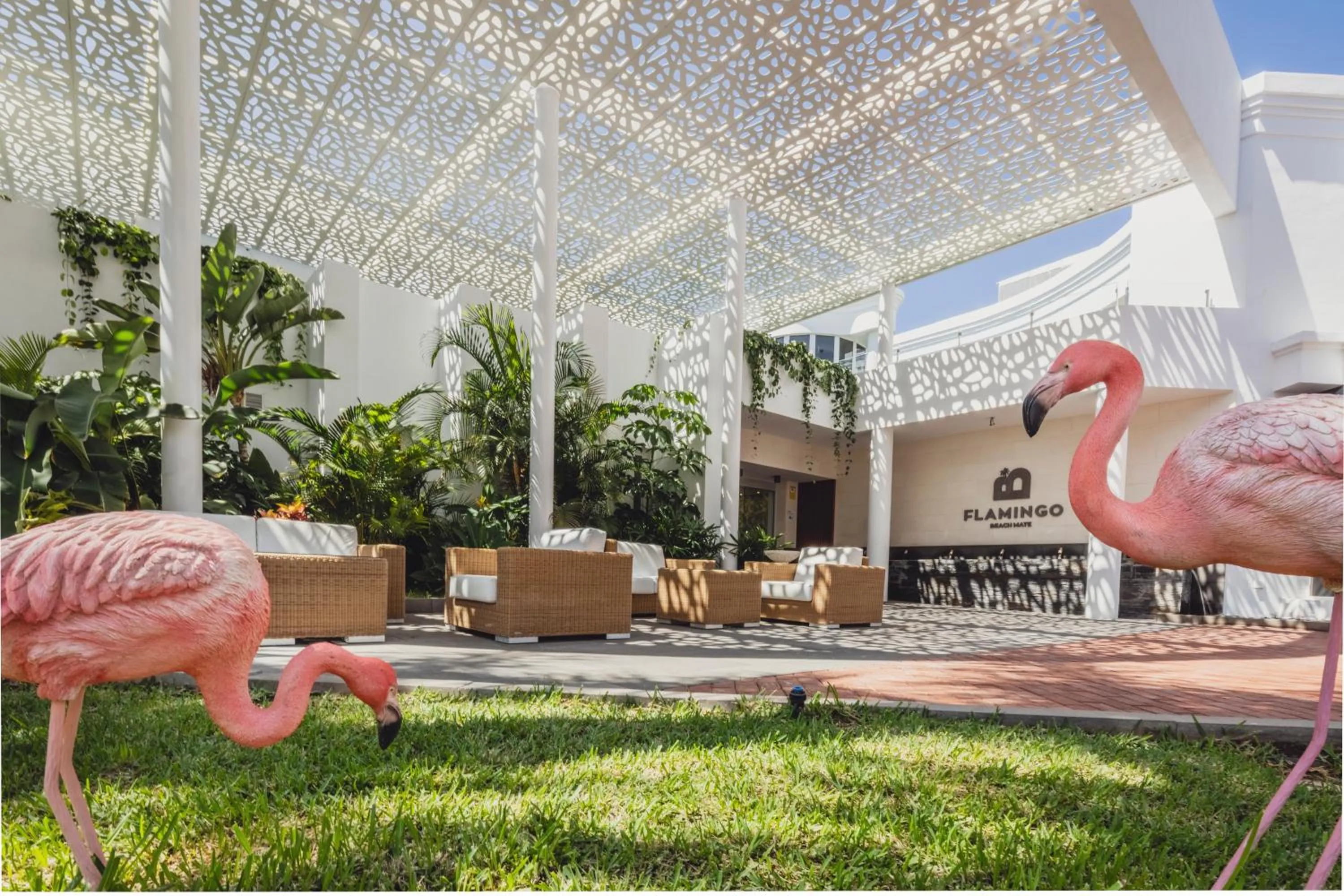 Property building in Flamingo Beach Mate