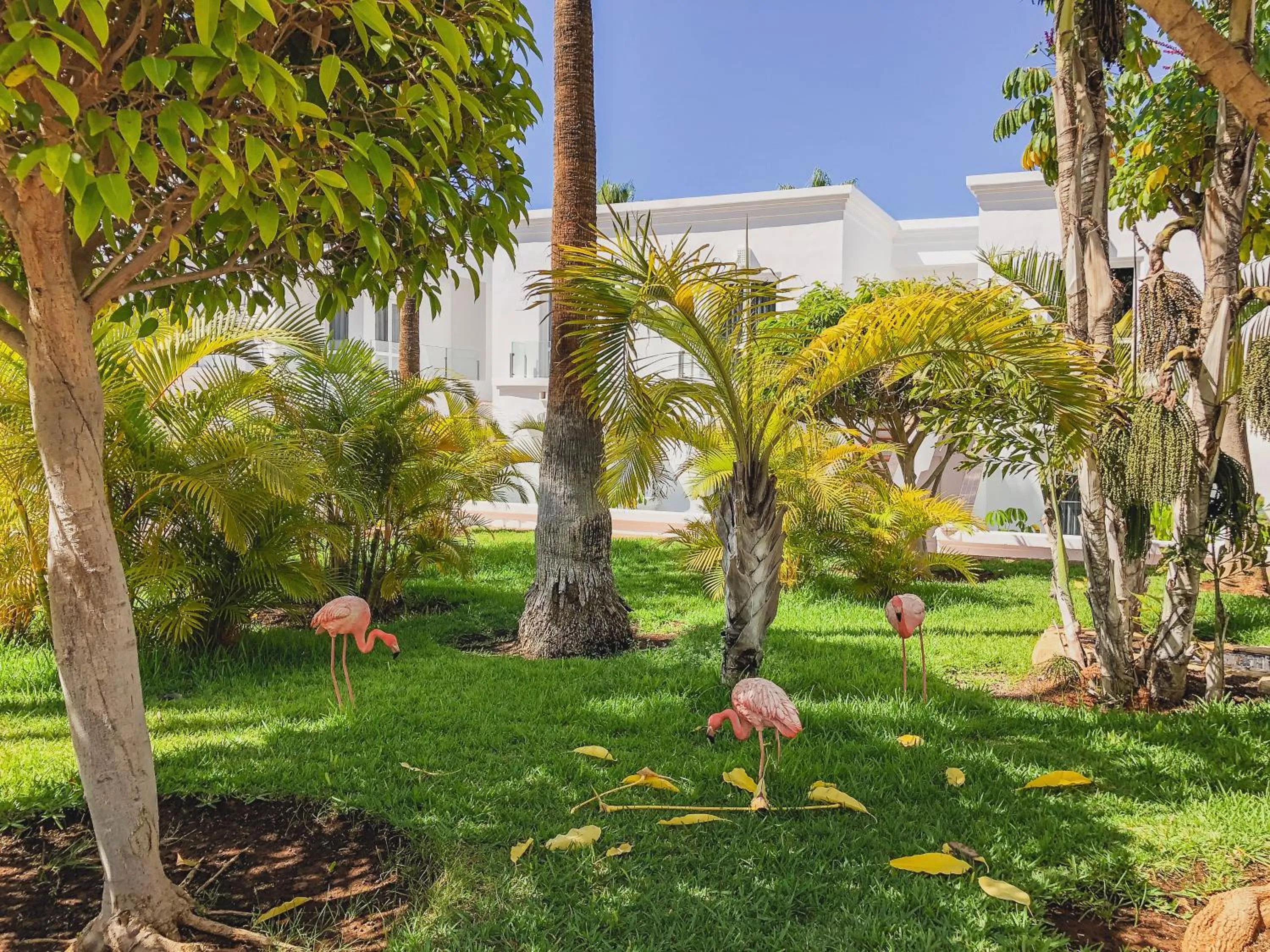 Property building in Flamingo Beach Mate