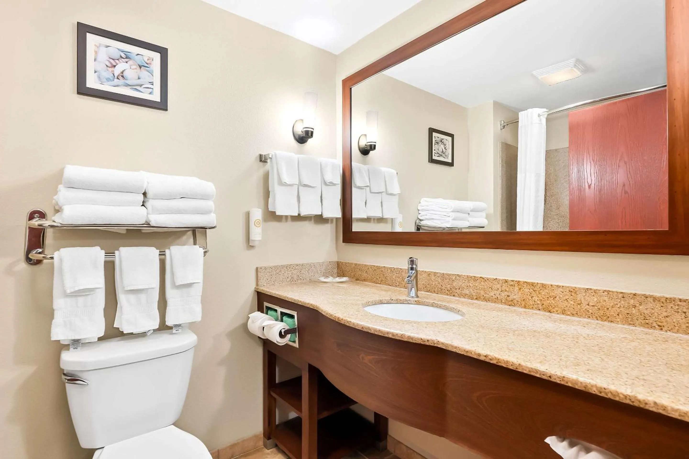 Toilet in Comfort Suites Panama City near Tyndall AFB