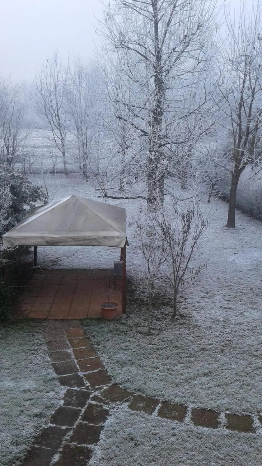 Garden in B&B BrentaGiardino