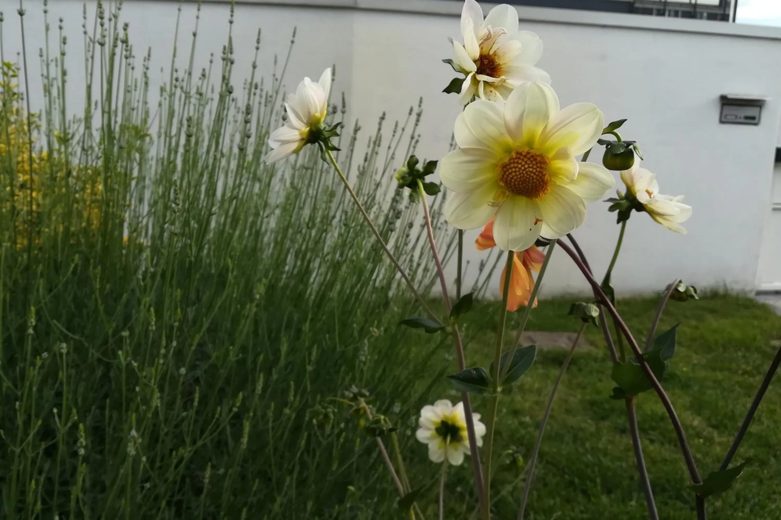 Day in B&B BrentaGiardino