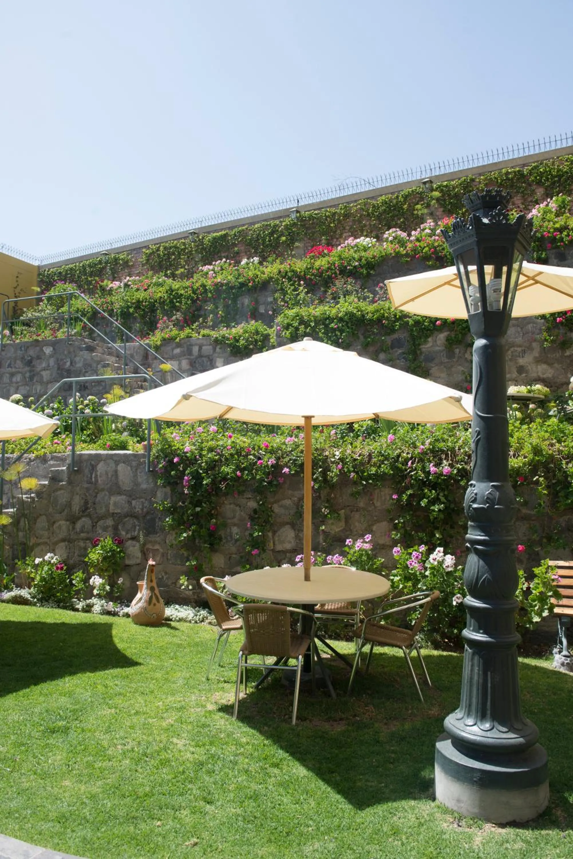 Garden in El Cabildo Hotel