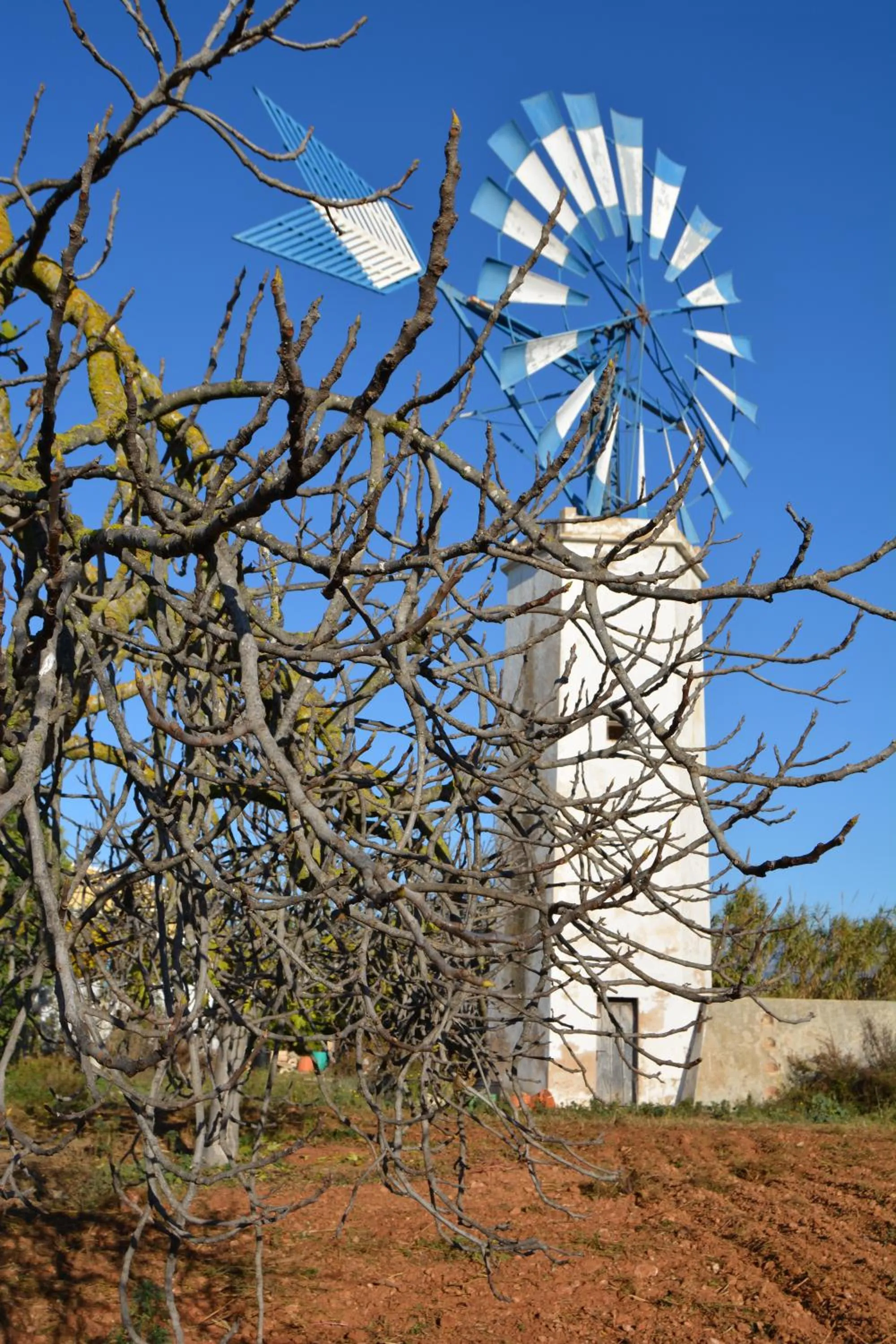 Spring in Agroturismo Finca Son Amora