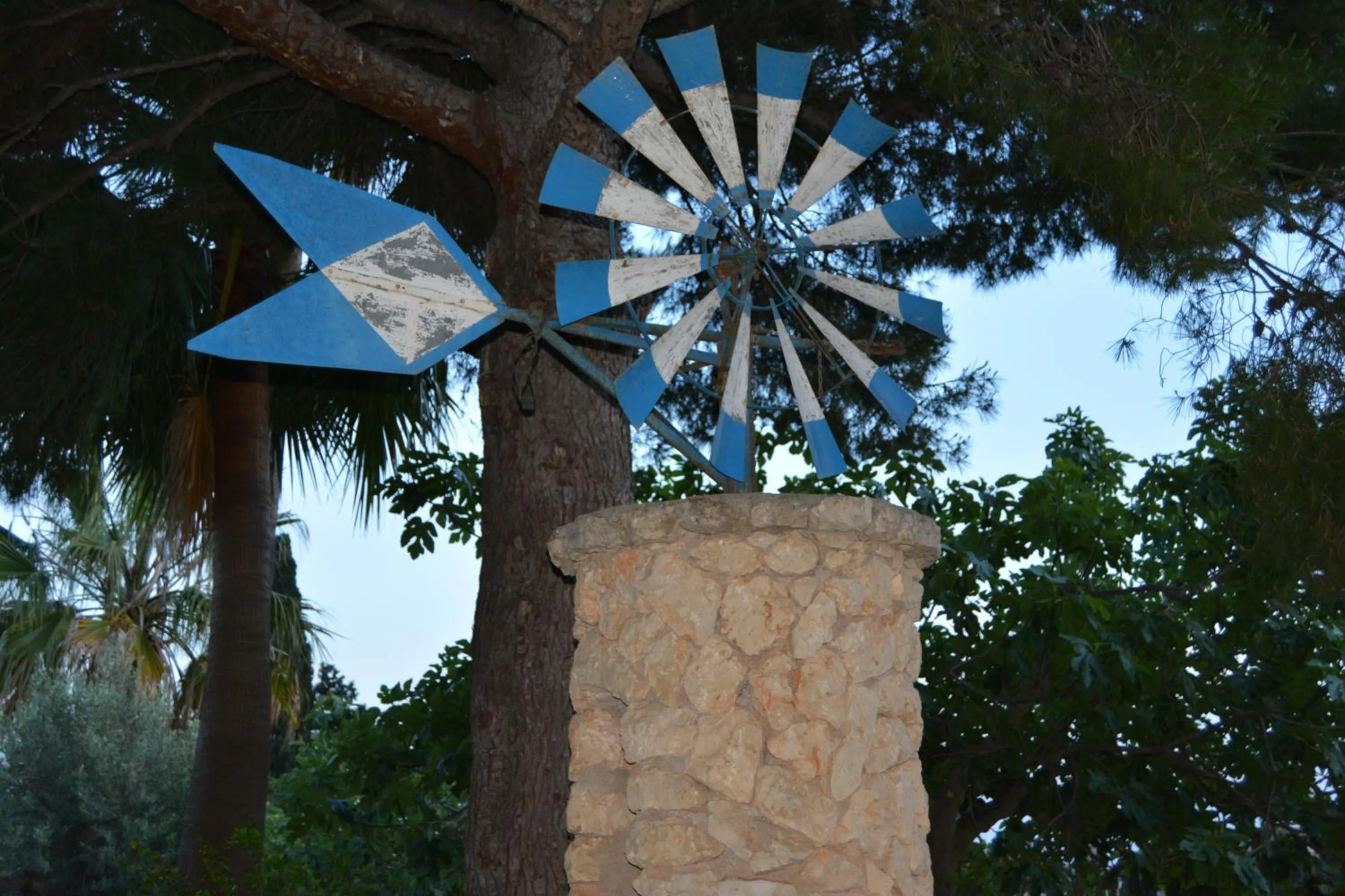 Garden in Agroturismo Finca Son Amora